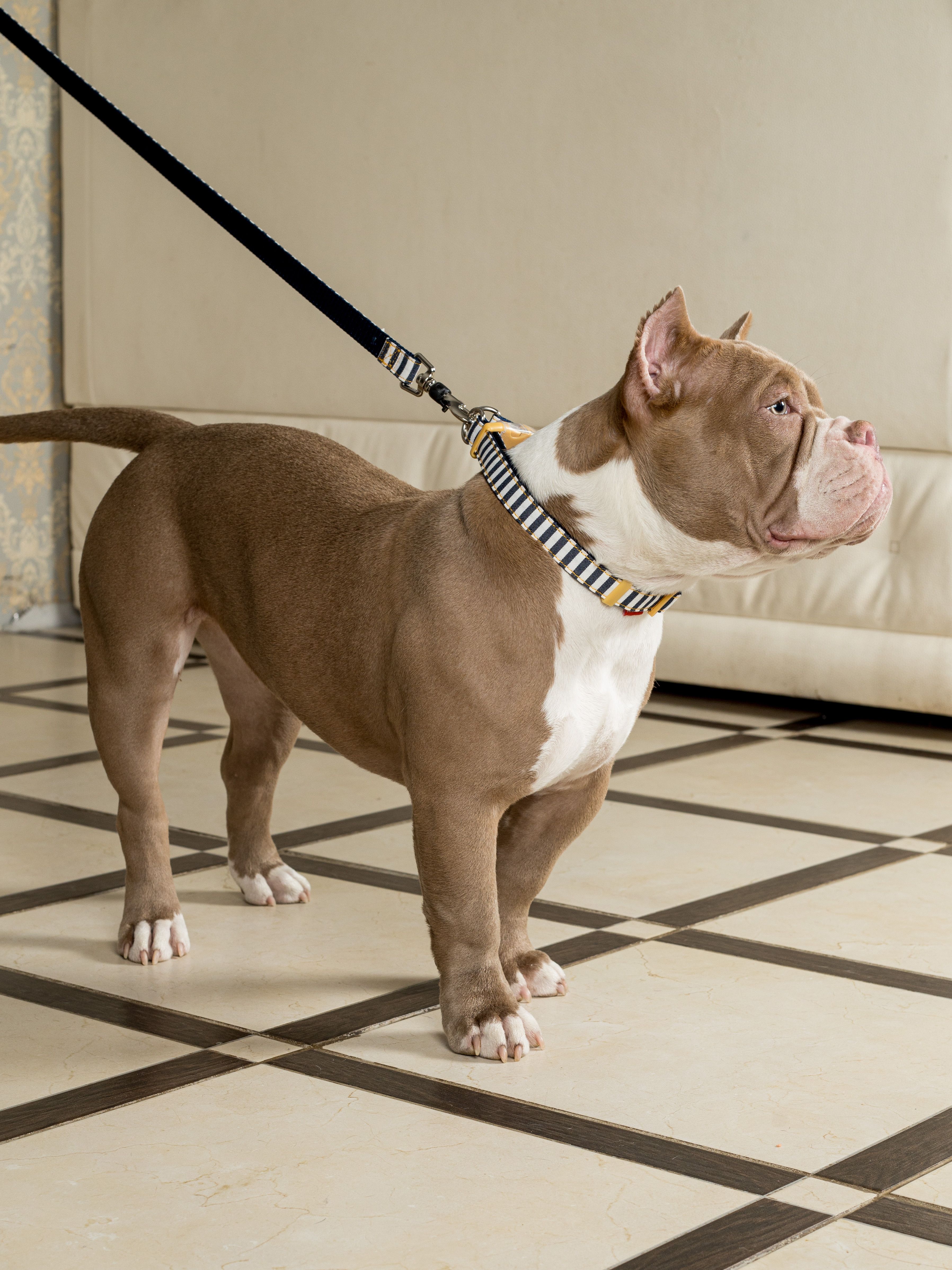 Produkt DSLC684260 Bild 2