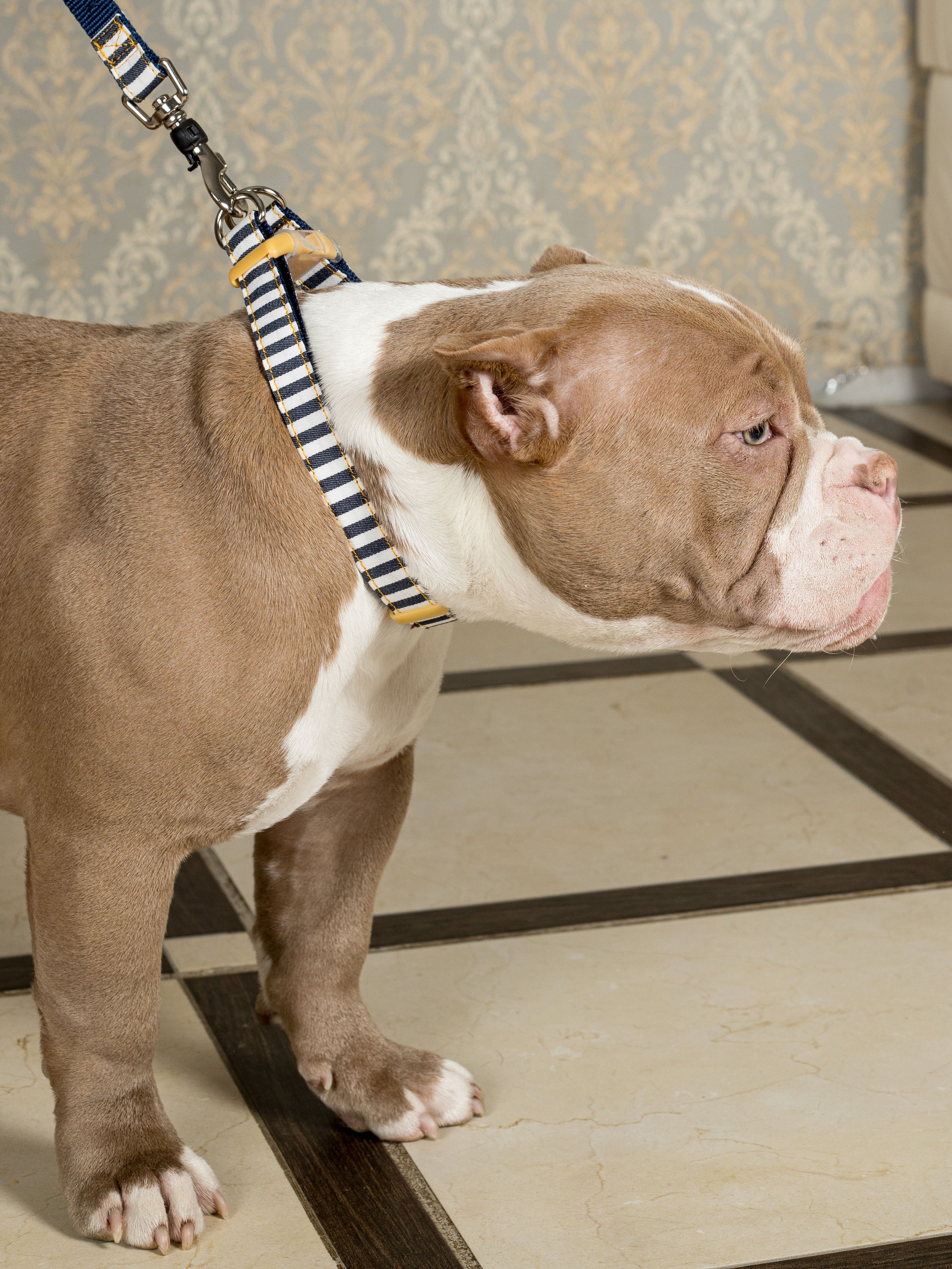 Produkt DSLC684260 Bild 3