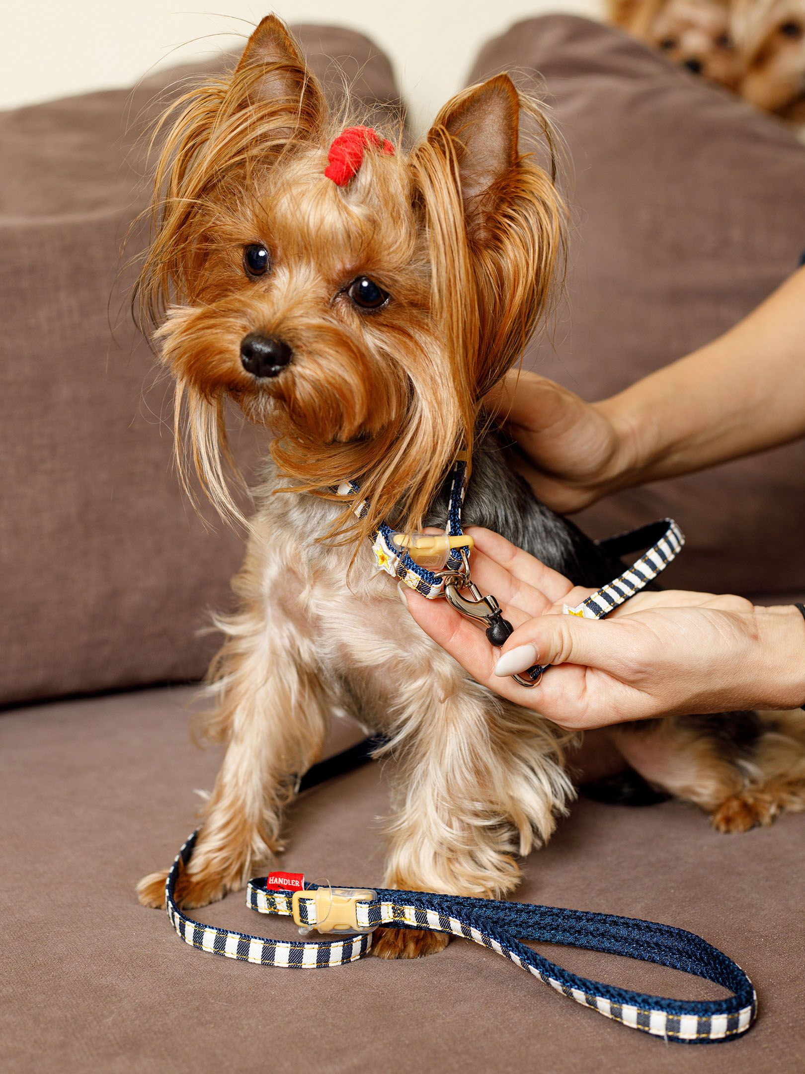 Produkt DSLC684260 Bild 8