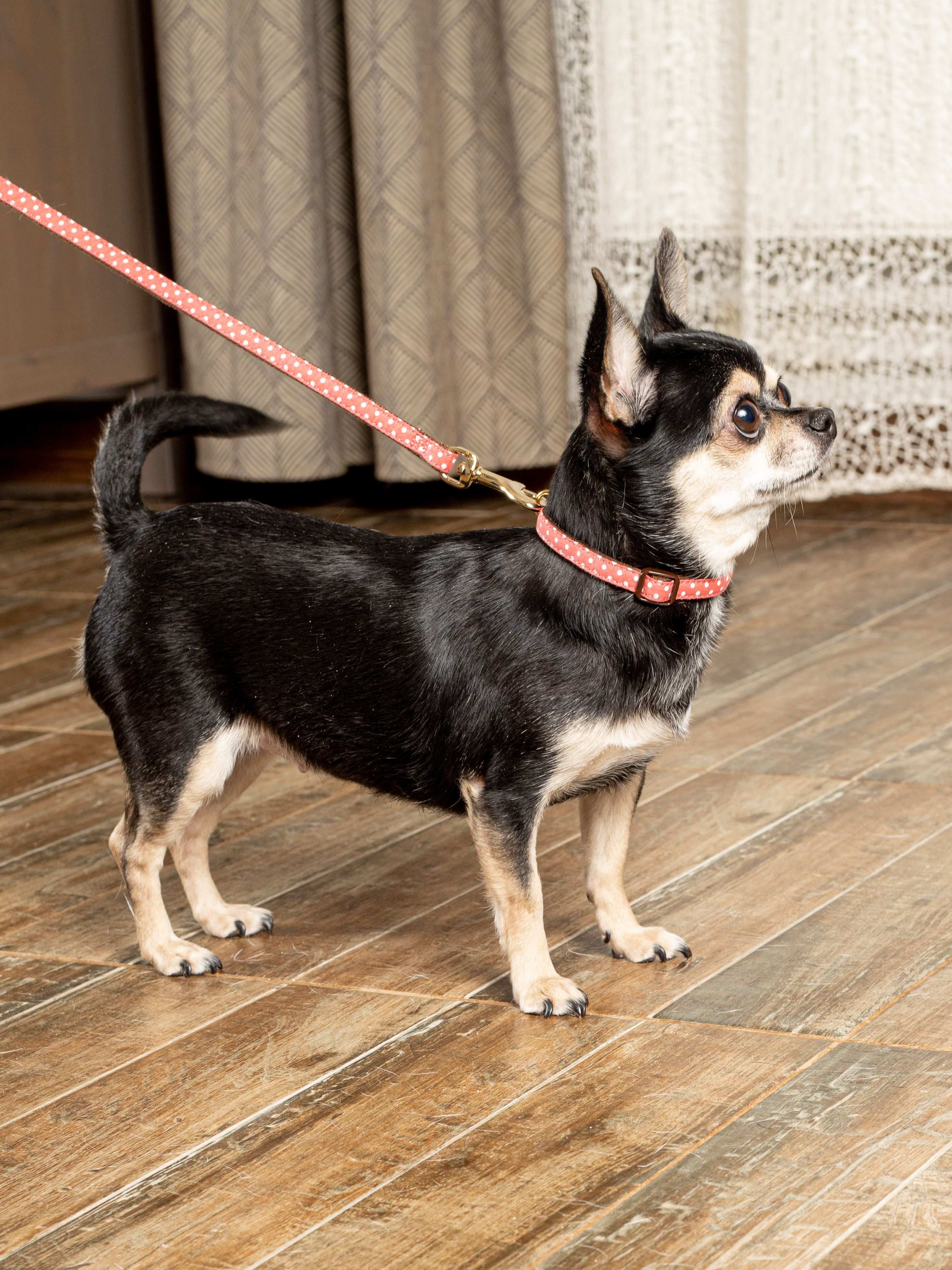 Produkt DSLC841010 Bild 11