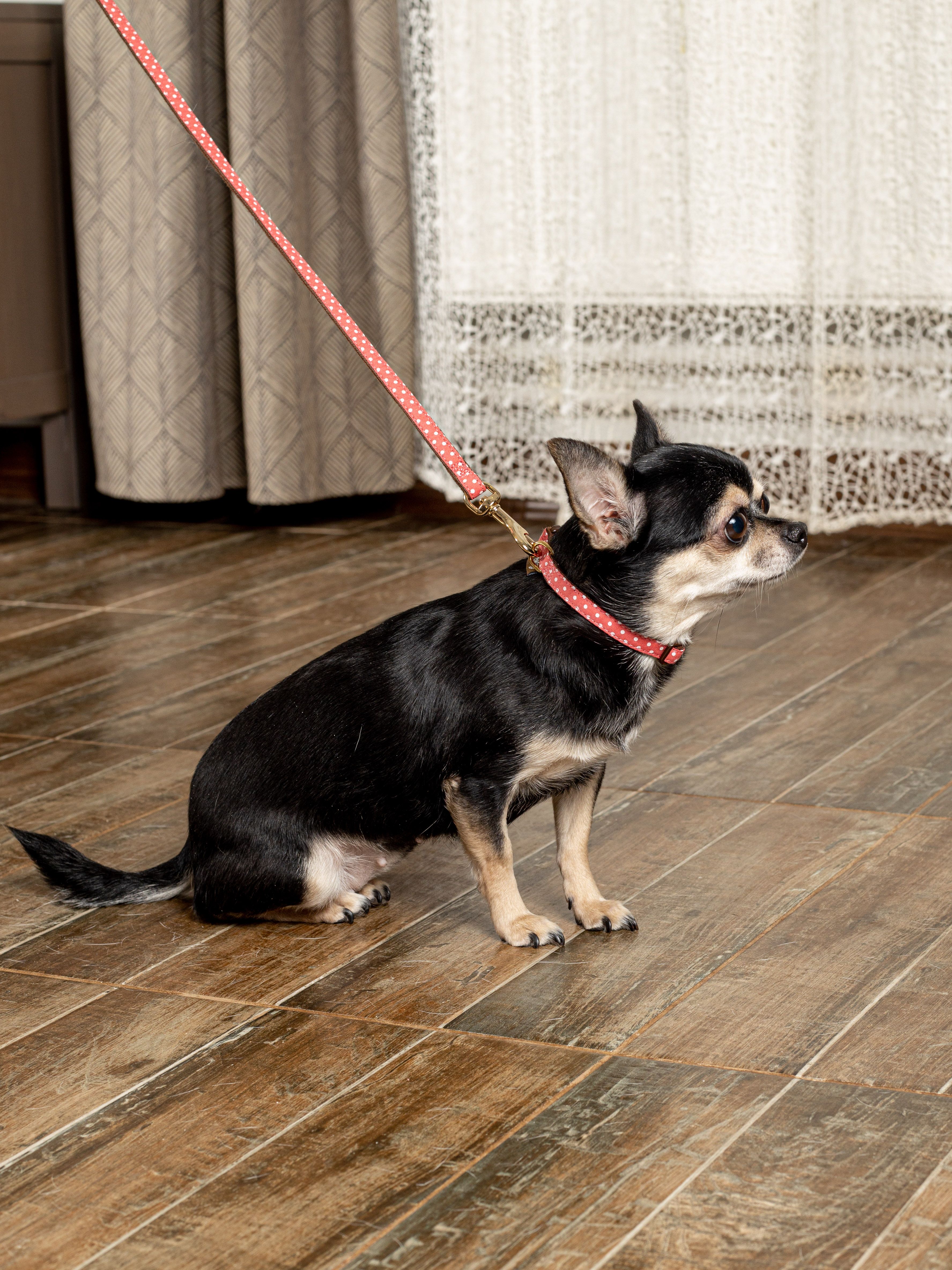 Produkt DSLC841010 Bild 13