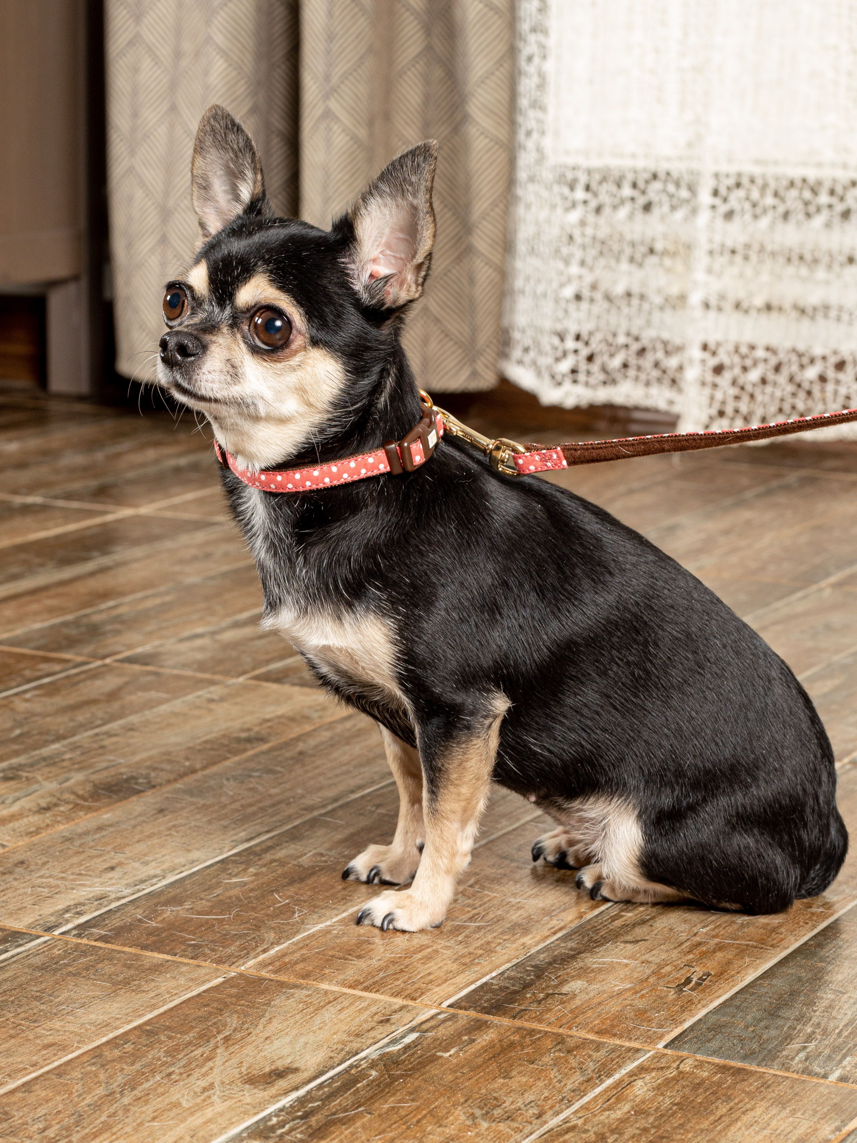 Produkt DSLC841010 Bild 15