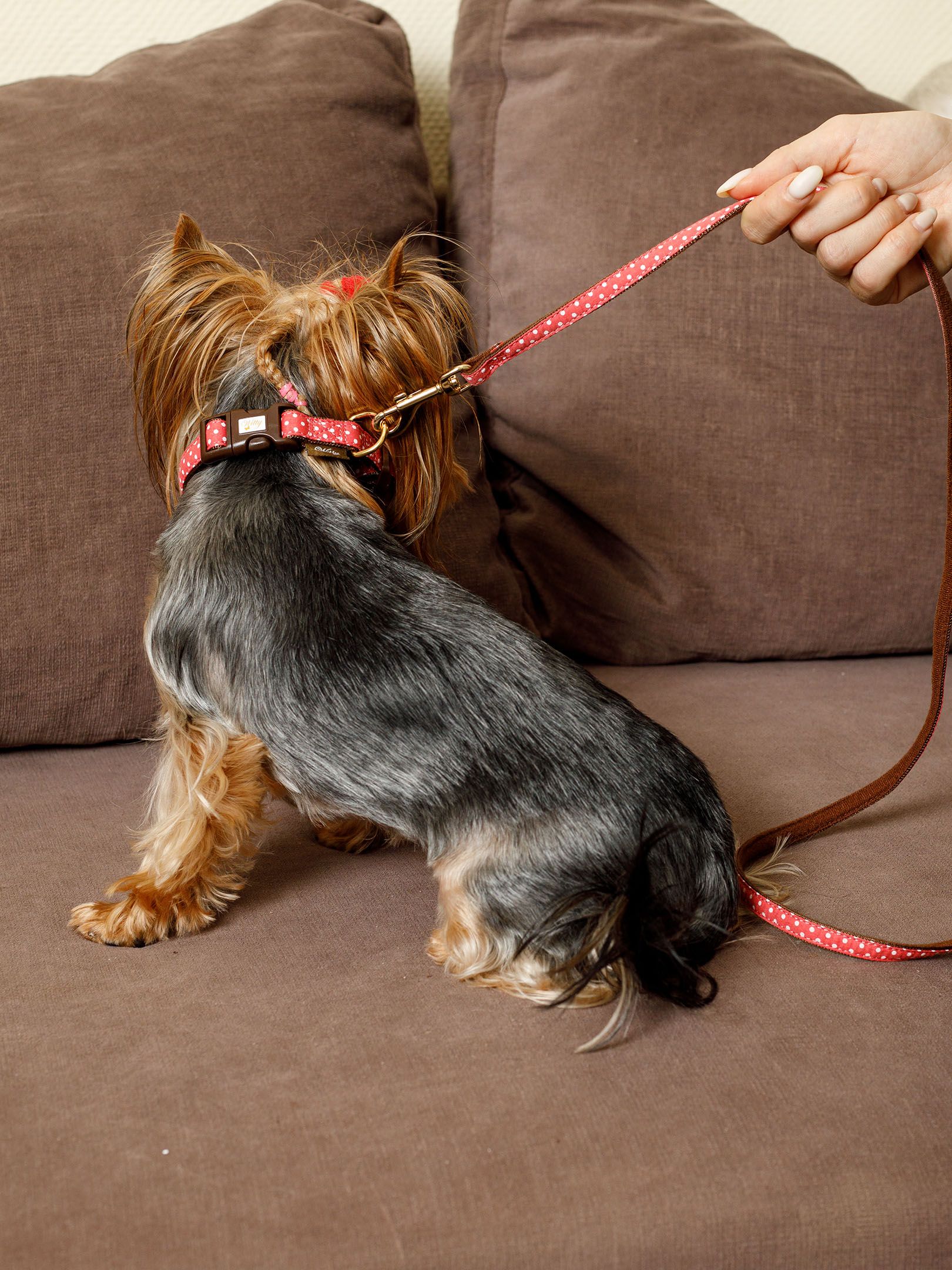 Produkt DSLC841010 Bild 2