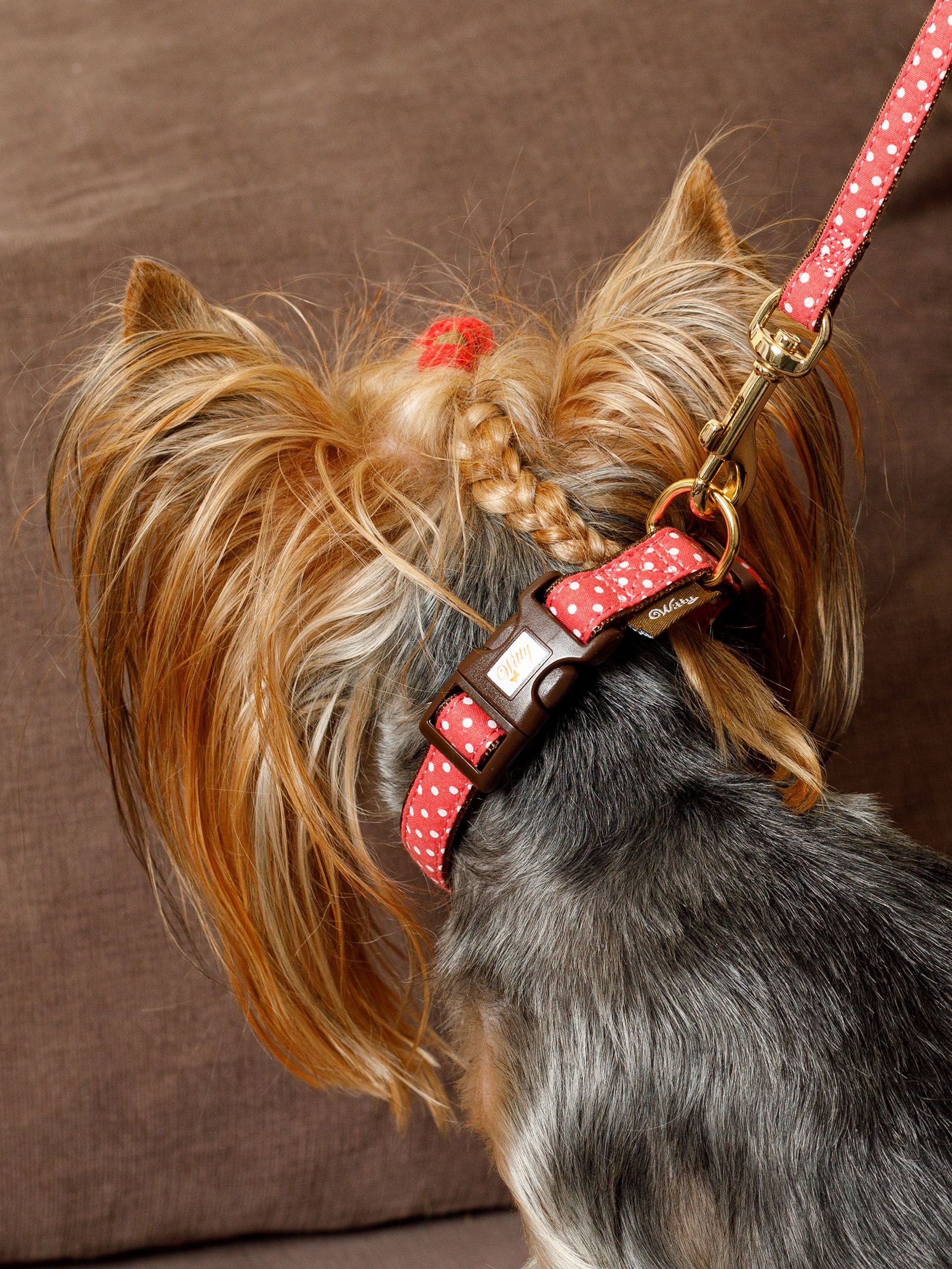 Produkt DSLC841010 Bild 17