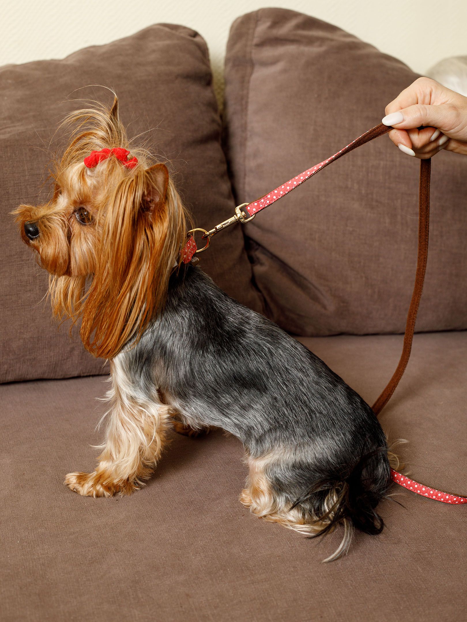 Produkt DSLC841010 Bild 3