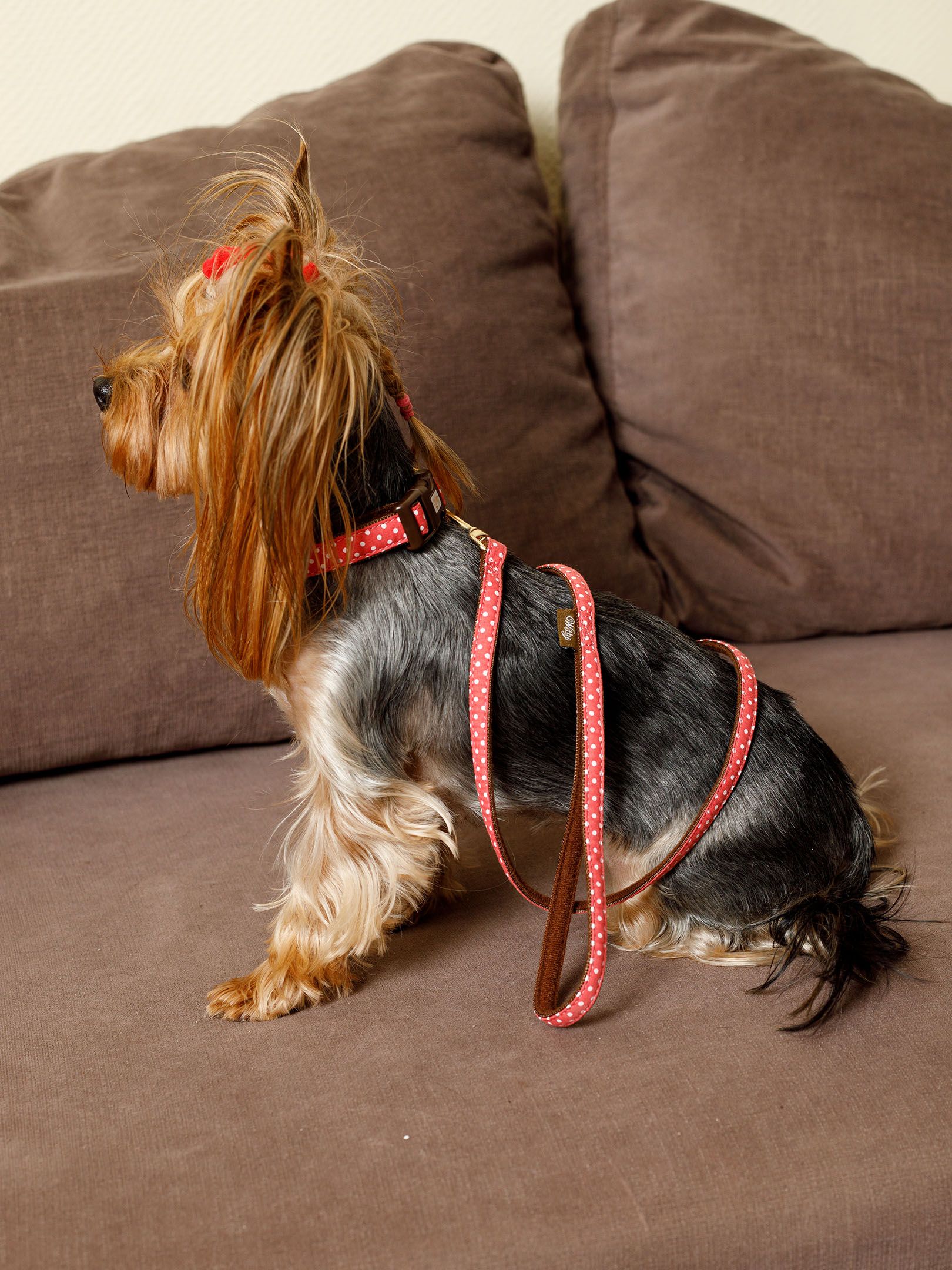 Produkt DSLC841010 Bild 4