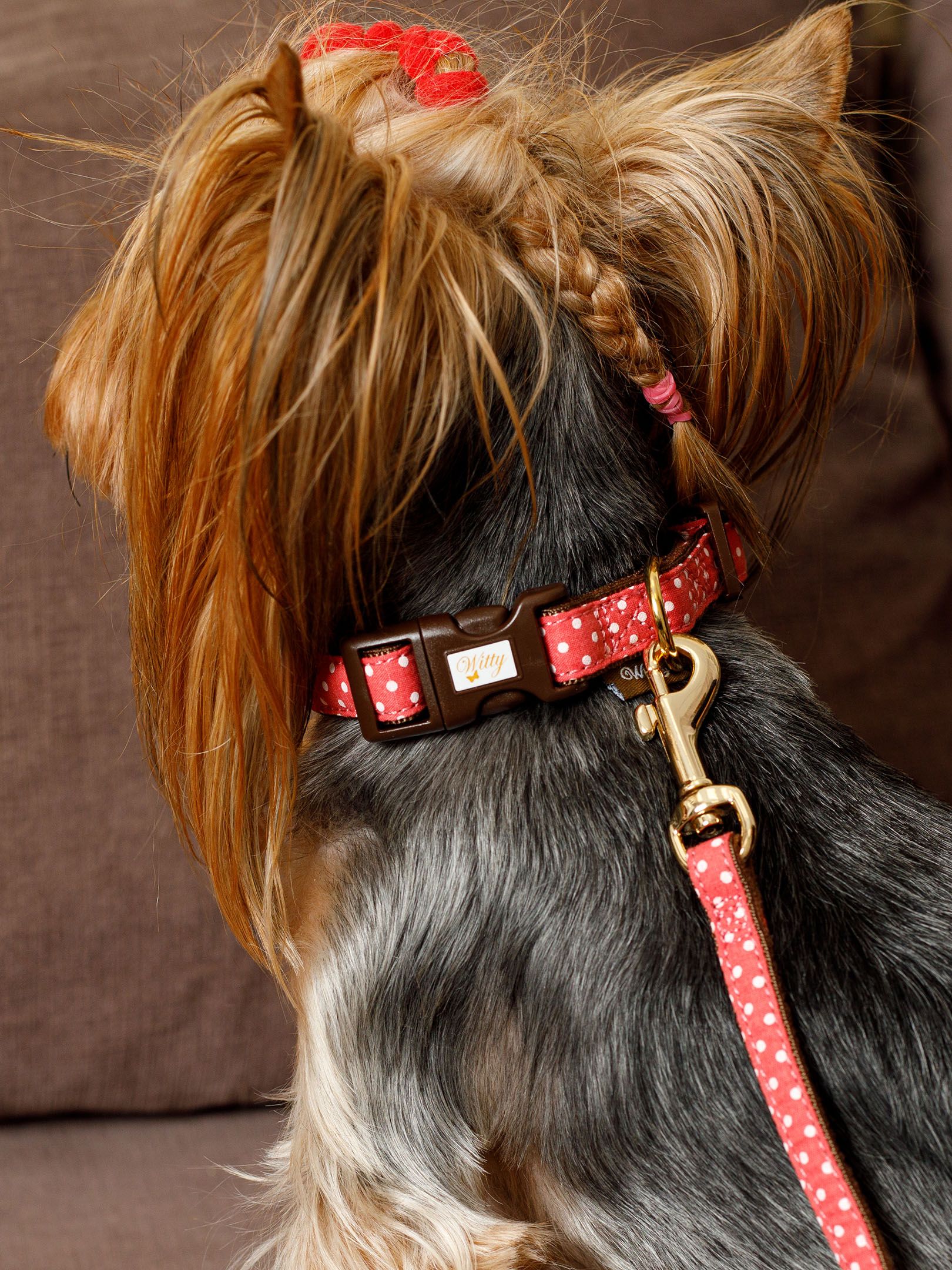 Produkt DSLC841010 Bild 5