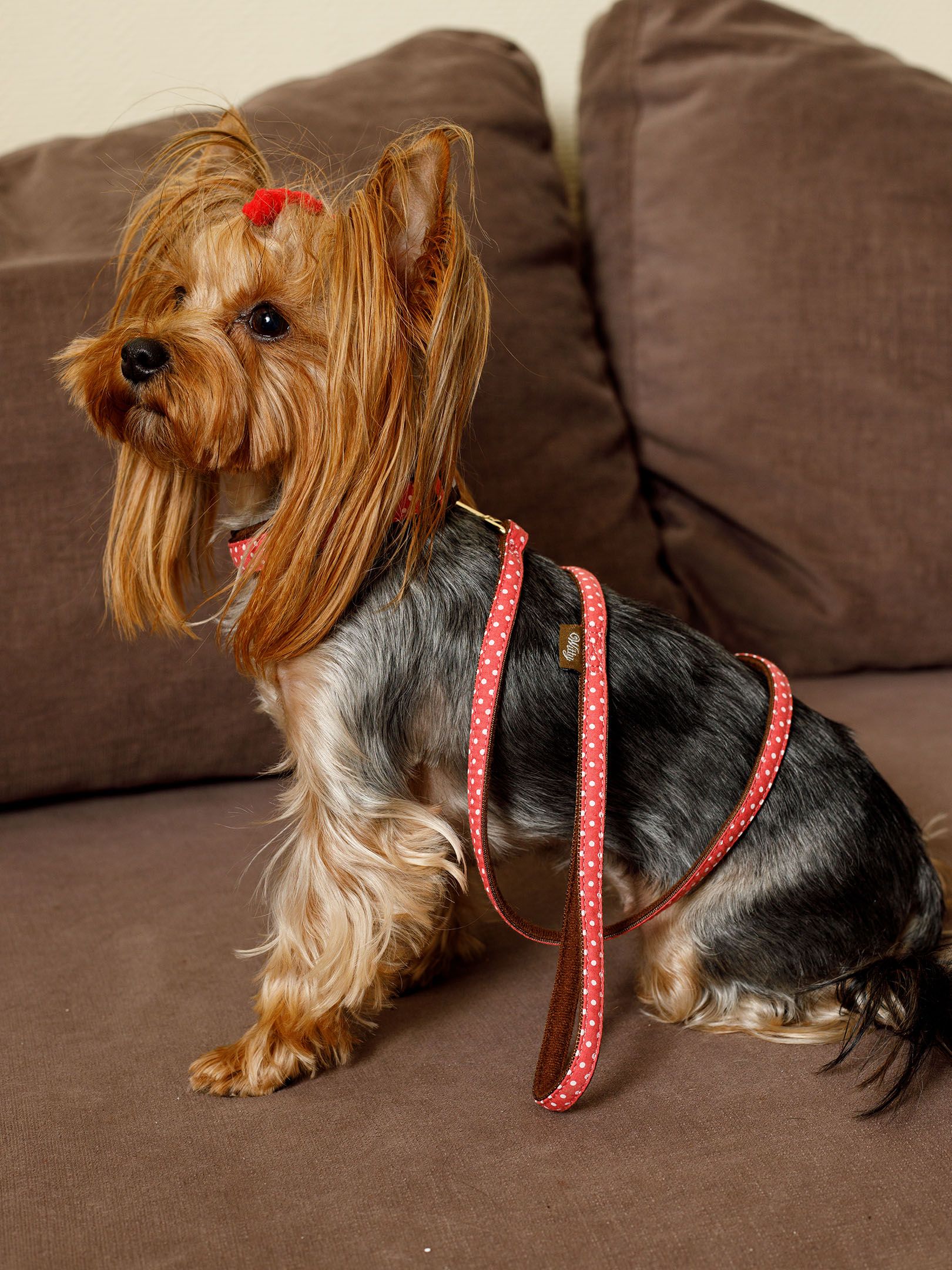 Produkt DSLC841010 Bild 6