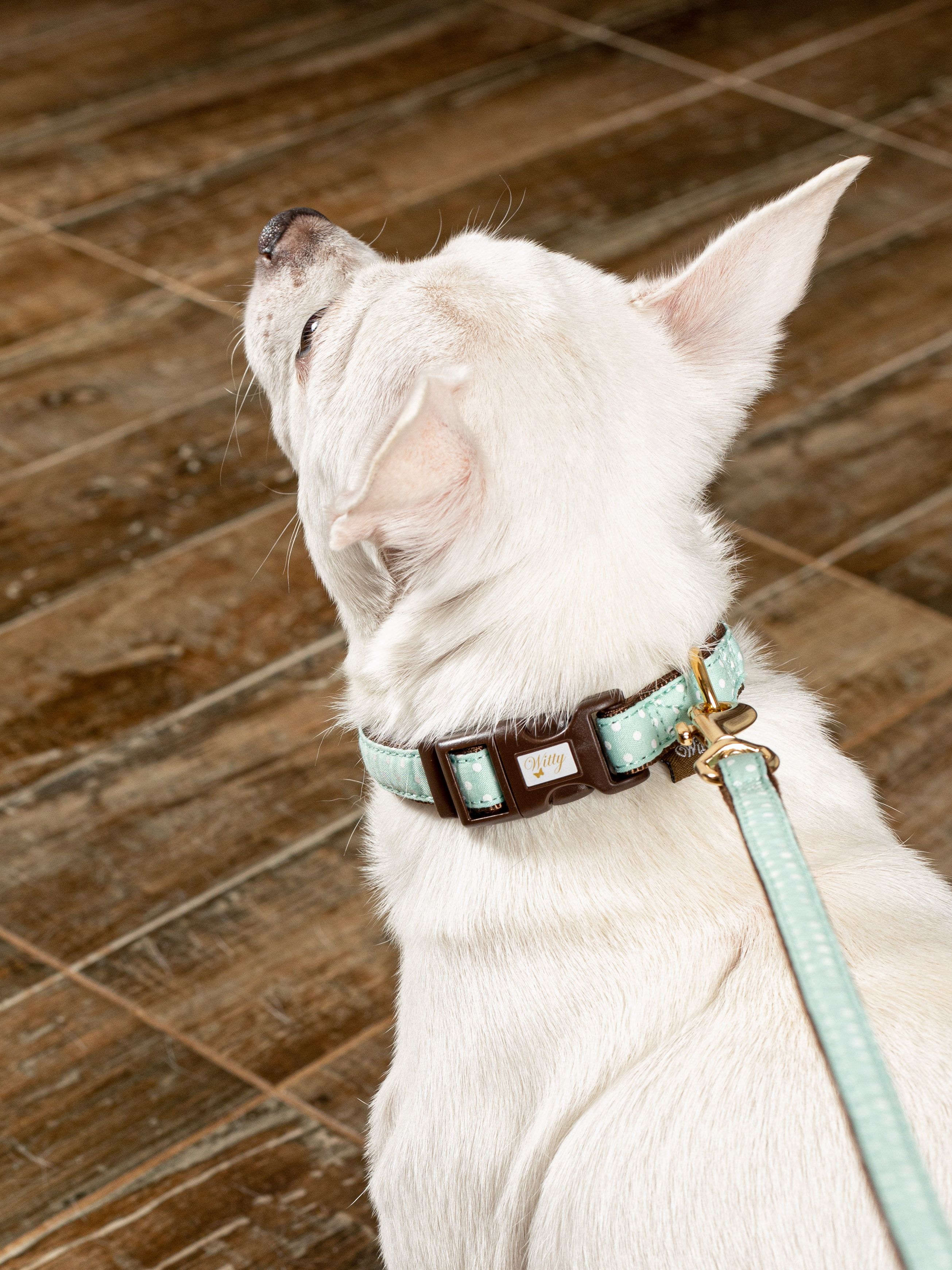 Produkt DSLC841027 Bild 6