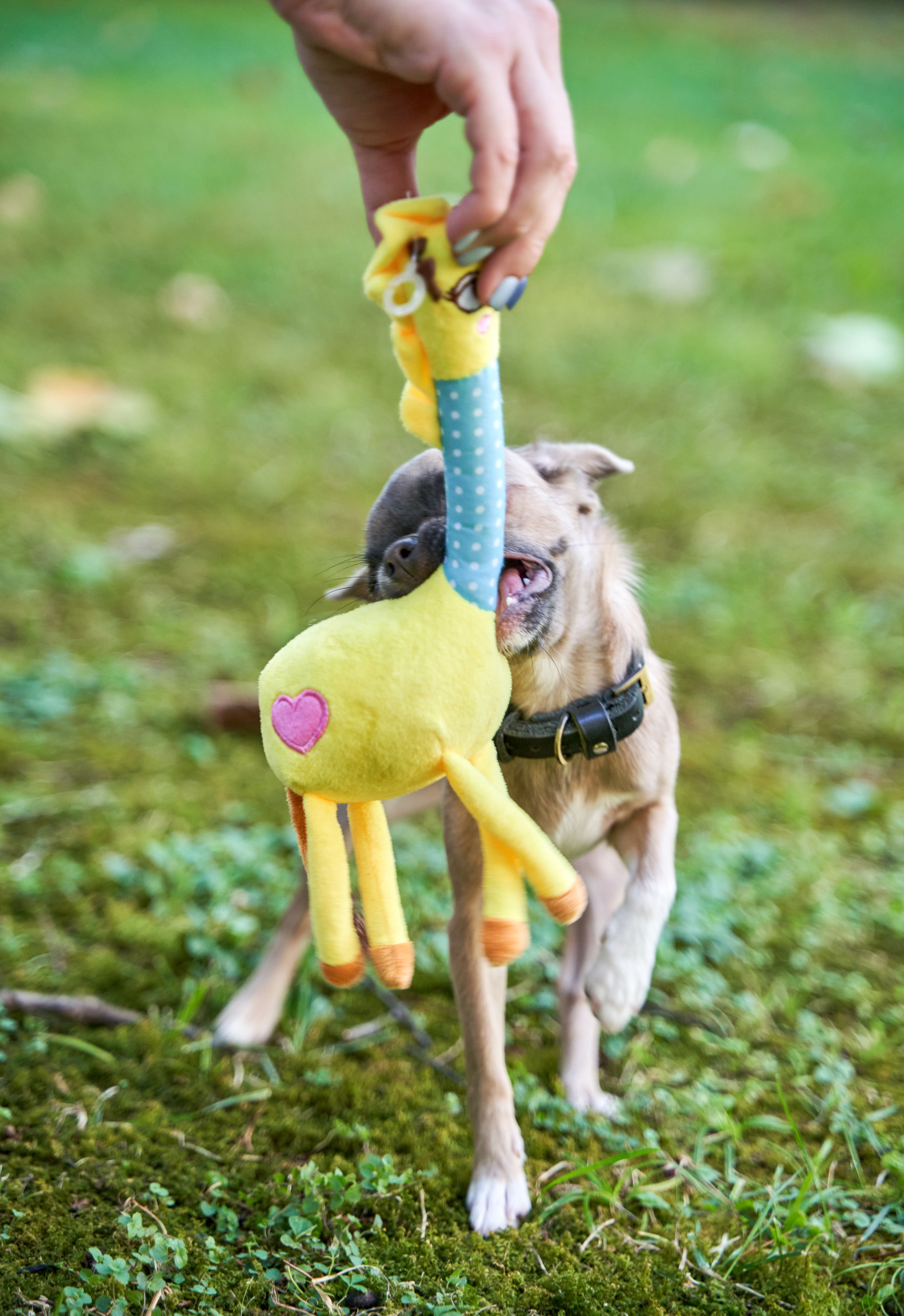 Produkt DTAS662080 Bild 7