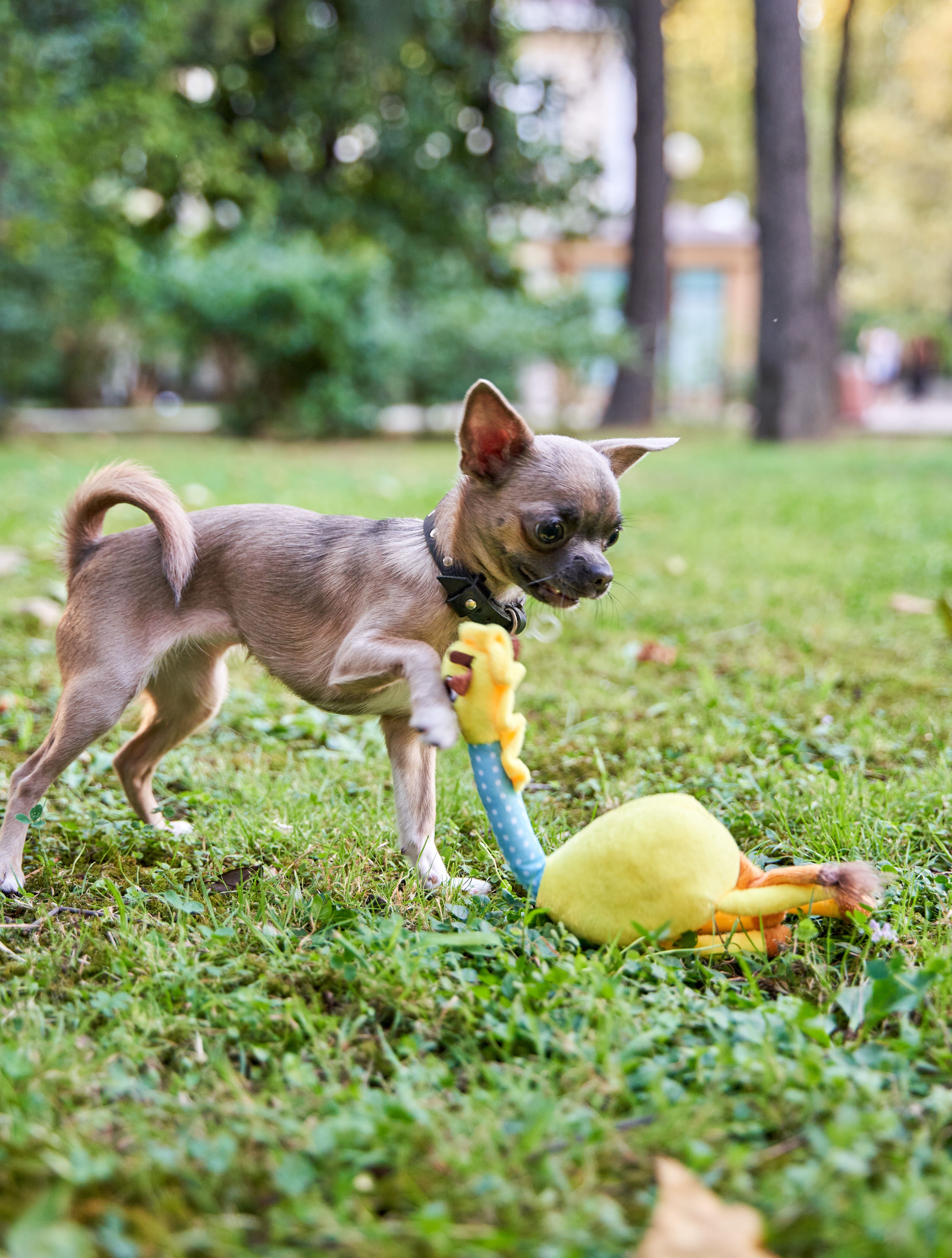 Produkt DTAS662080 Bild 8