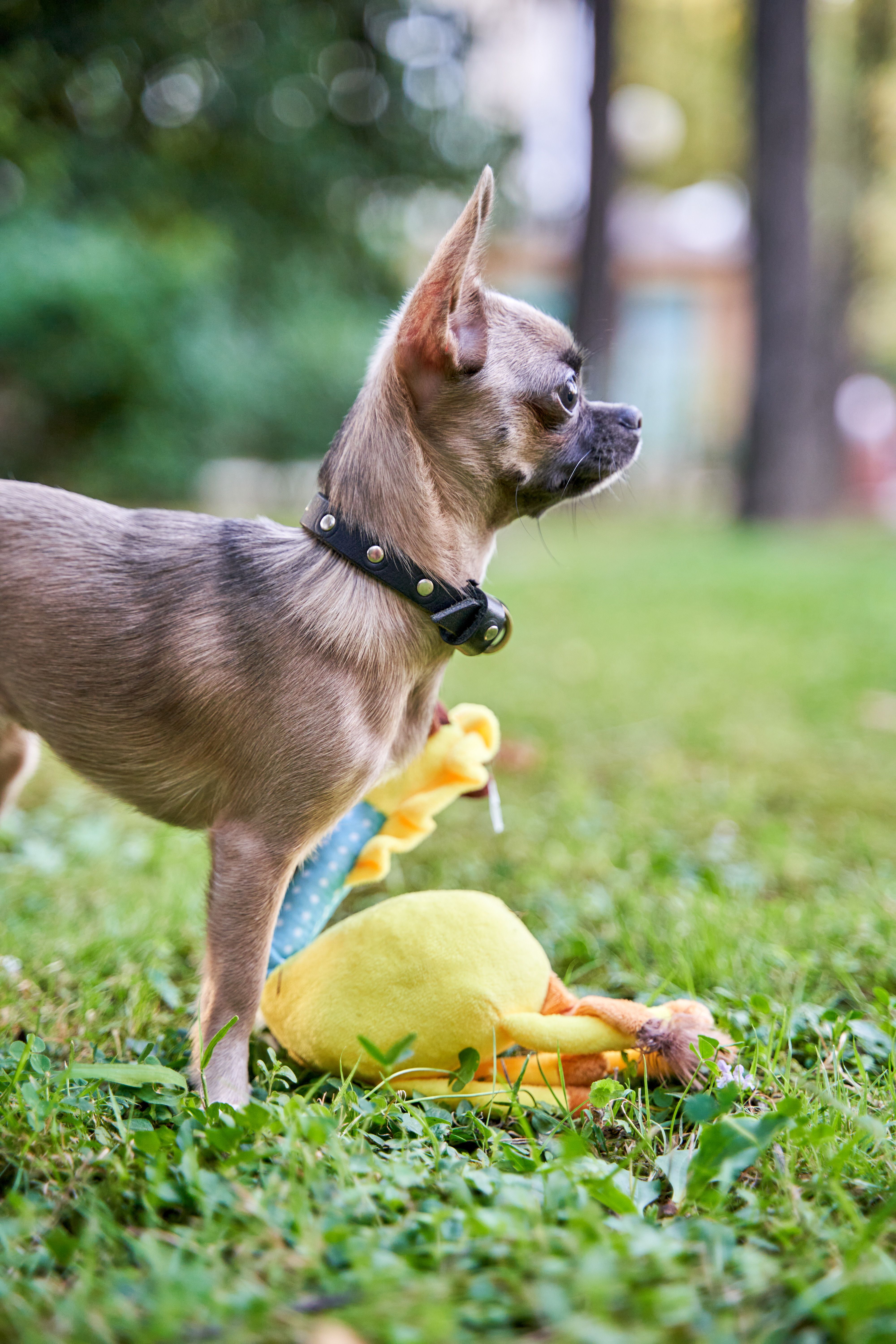 Produkt DTAS662080 Bild 9