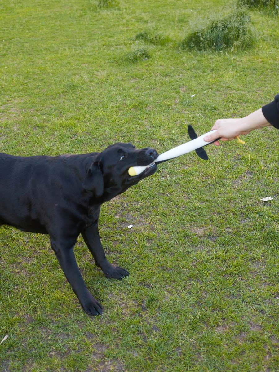 Produkt DTAS674360 Bild 2