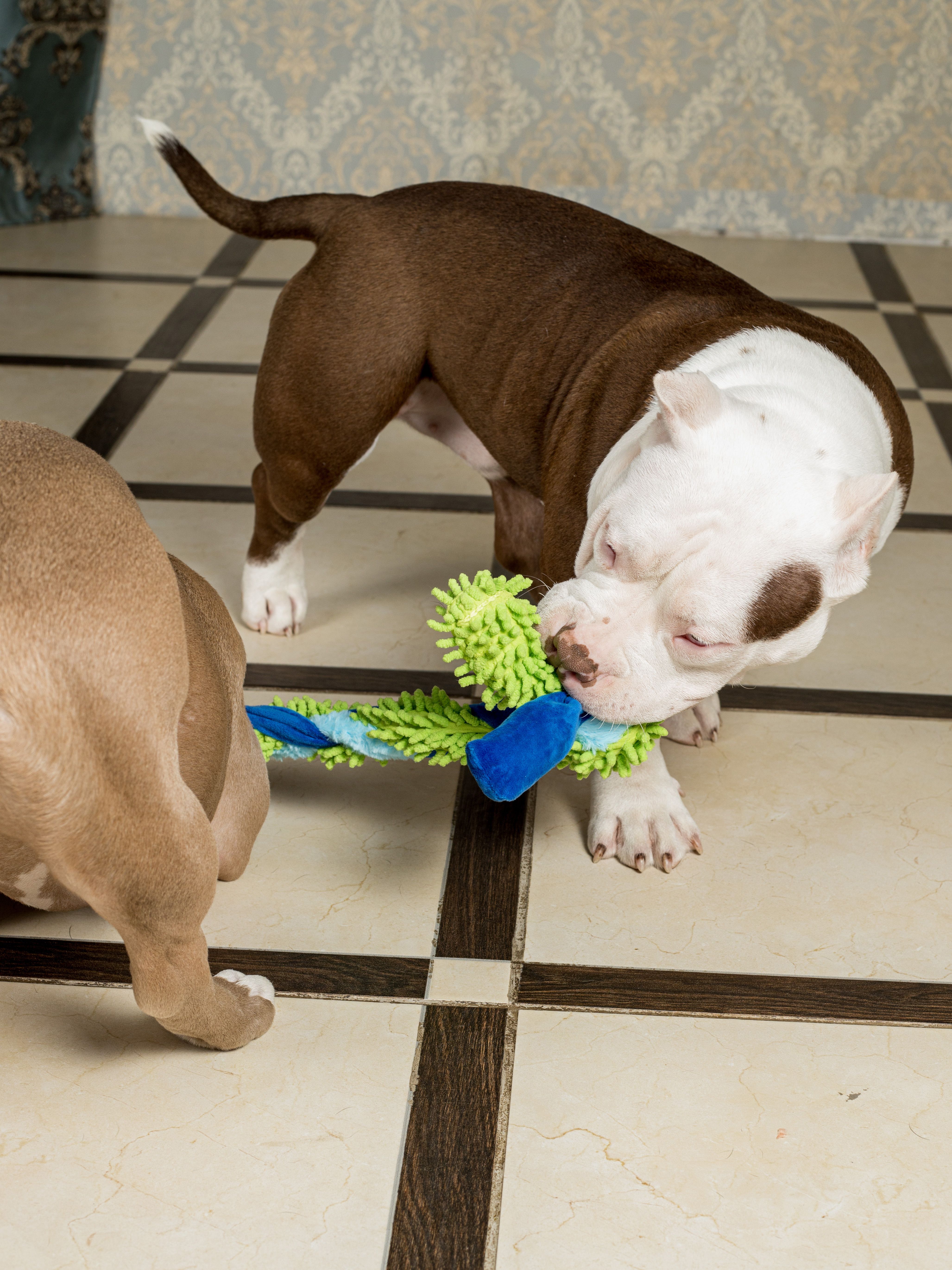 Produkt DTAS683041 Bild 10