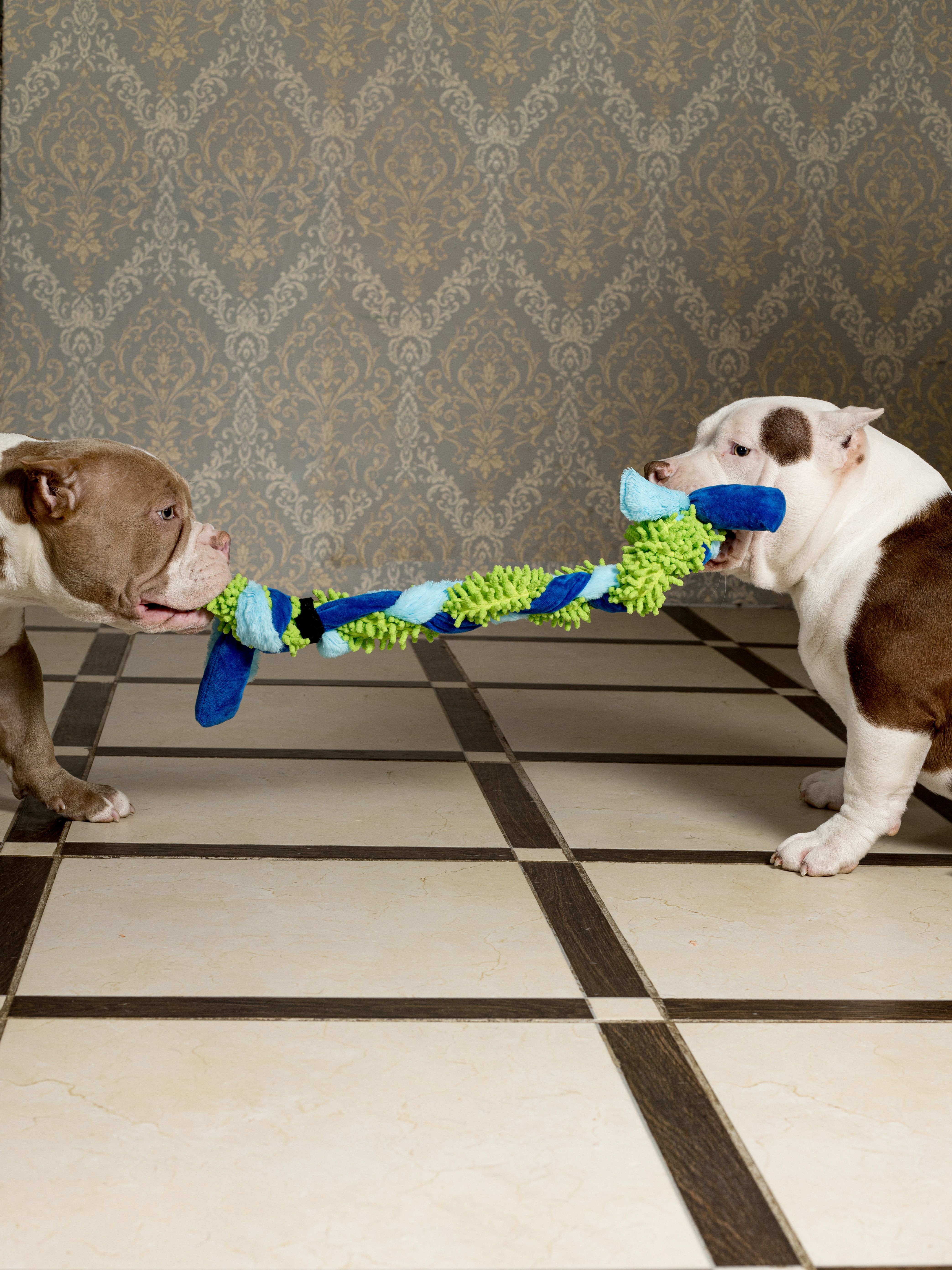 Produkt DTAS683041 Bild 11