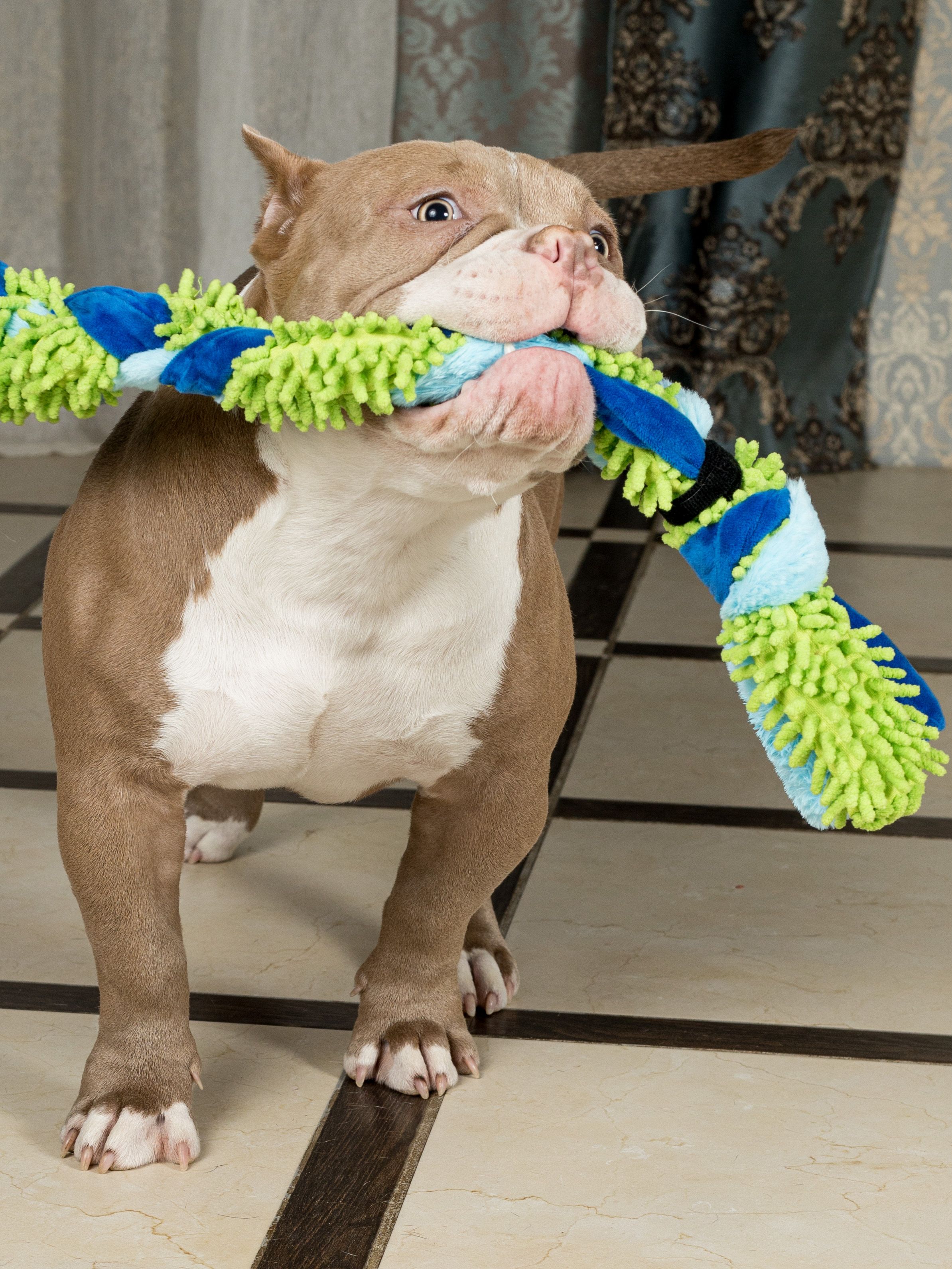 Produkt DTAS683041 Bild 12