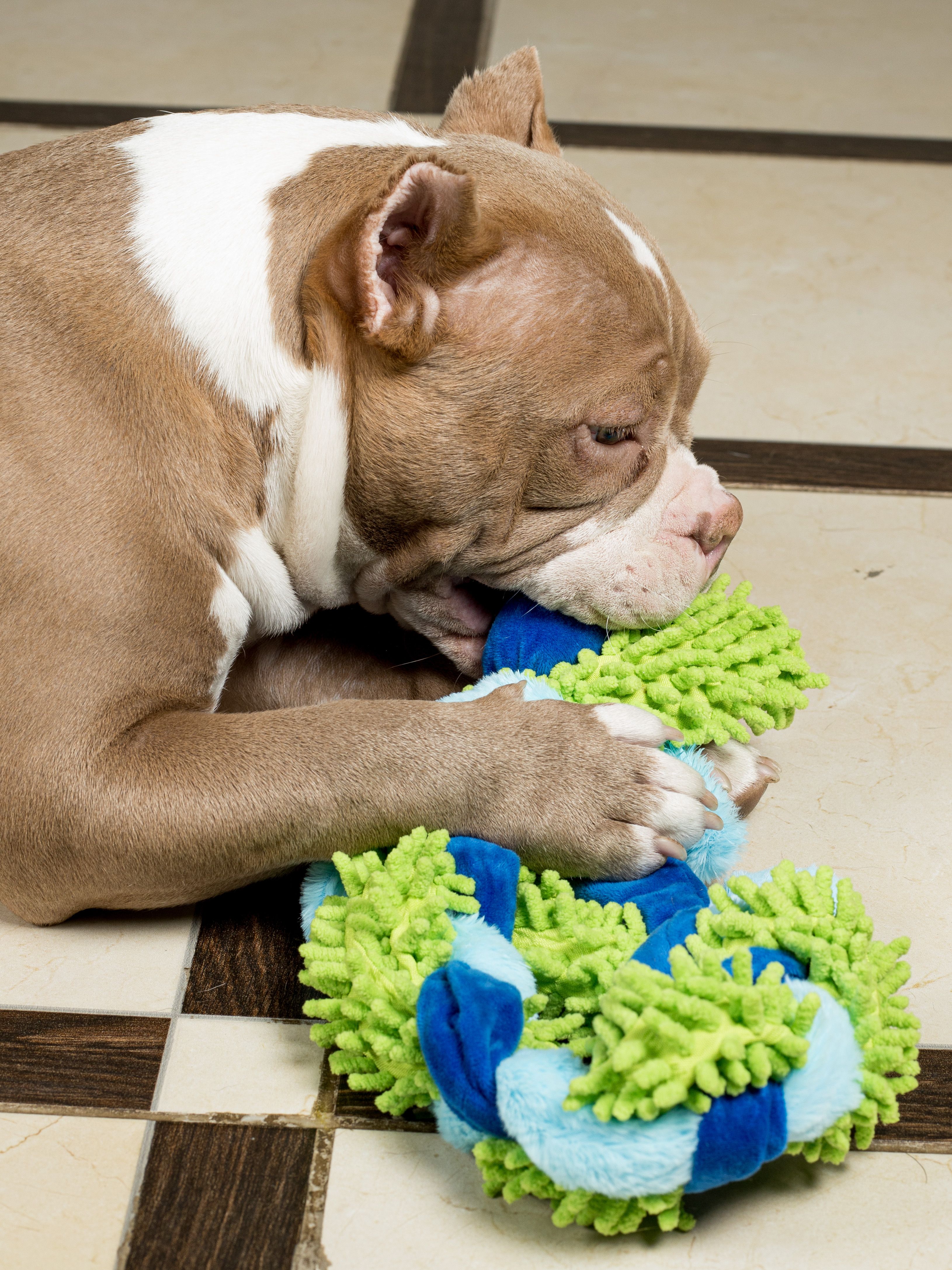 Produkt DTAS683041 Bild 14