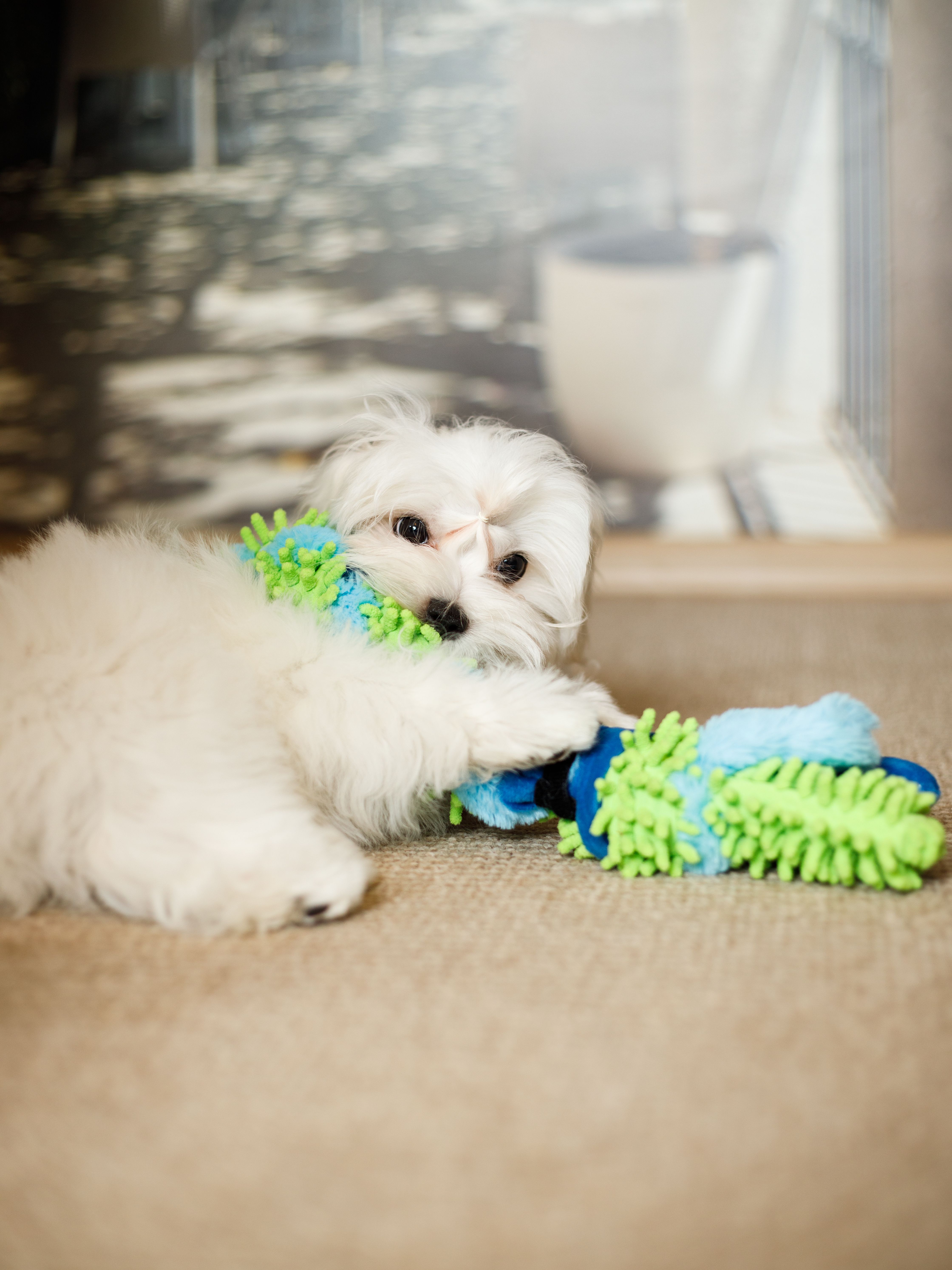 Produkt DTAS683041 Bild 2