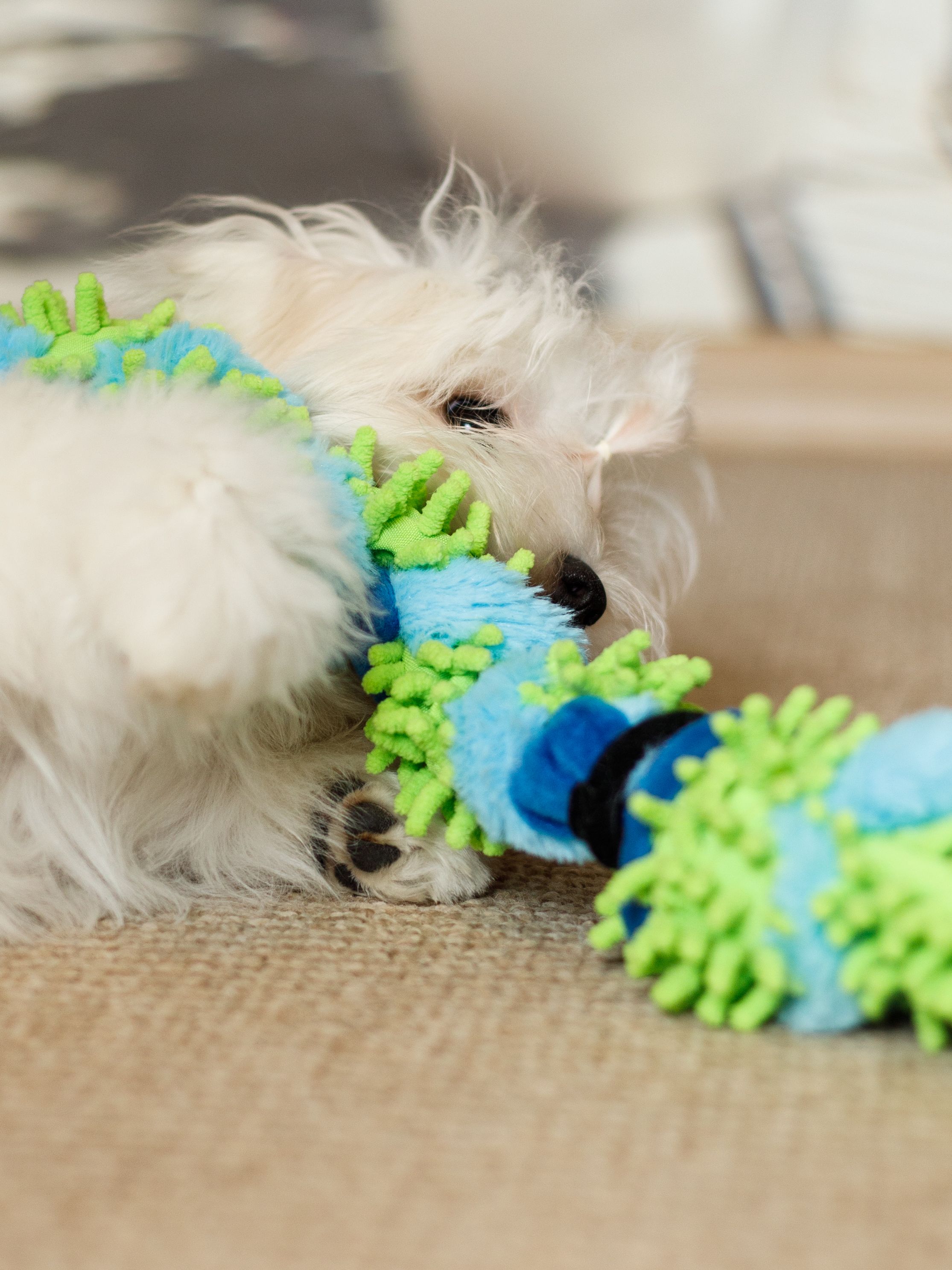 Produkt DTAS683041 Bild 3