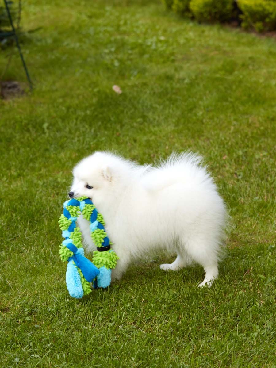 Produkt DTAS683041 Bild 4