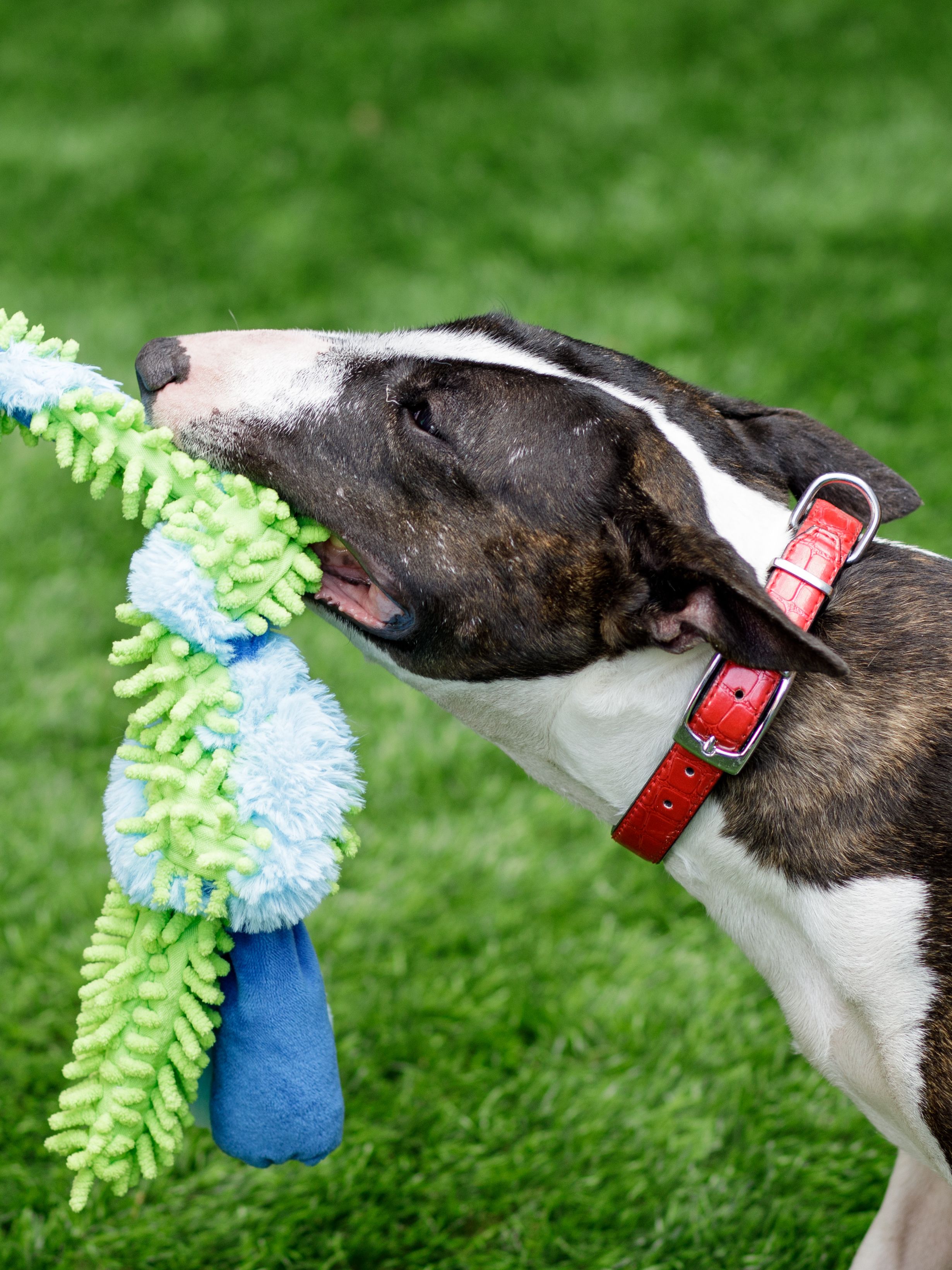 Produkt DTAS683041 Bild 5