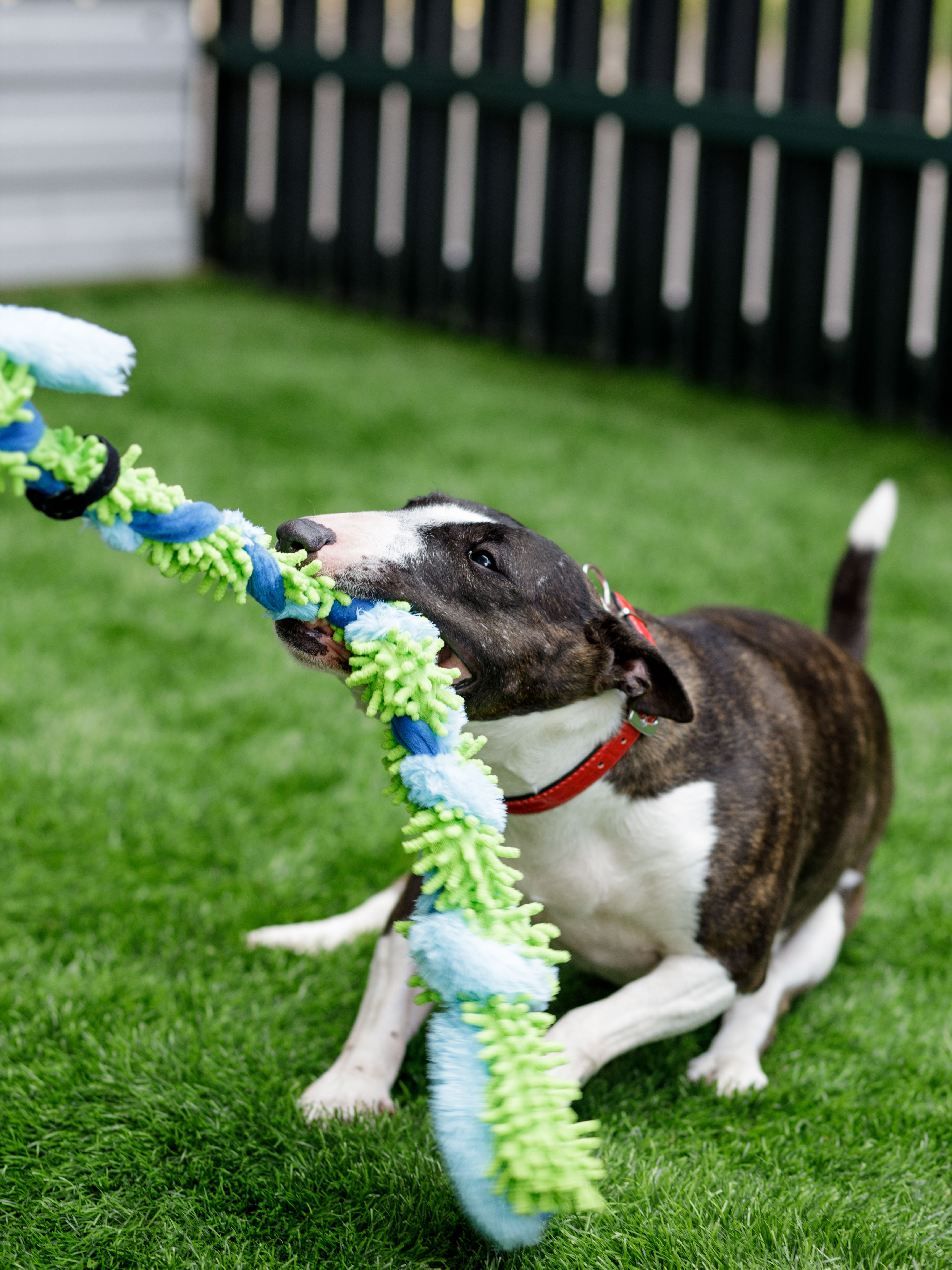 Produkt DTAS683041 Bild 6