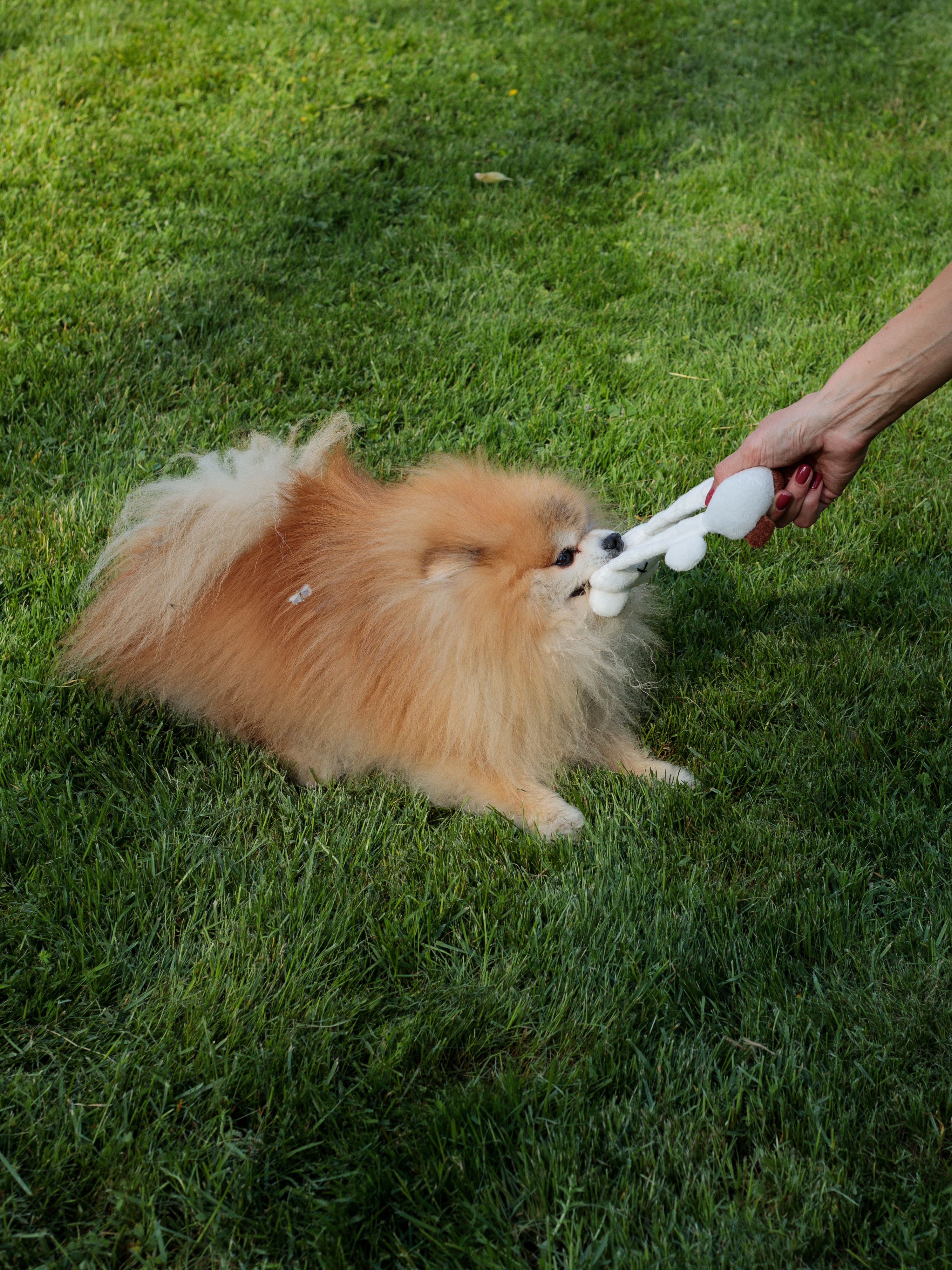 Produkt DTAS854961 Bild 3