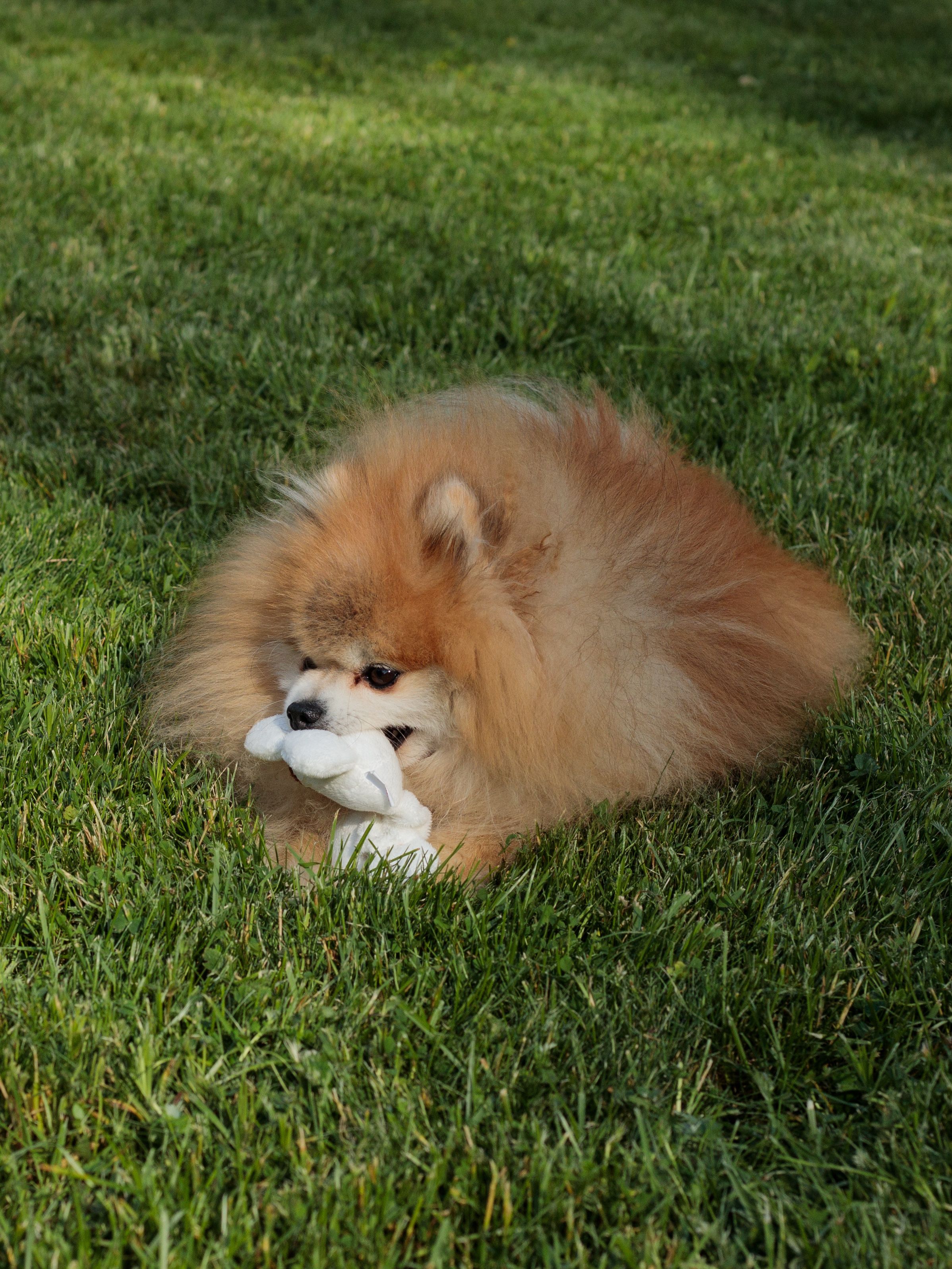 Produkt DTAS854961 Bild 4