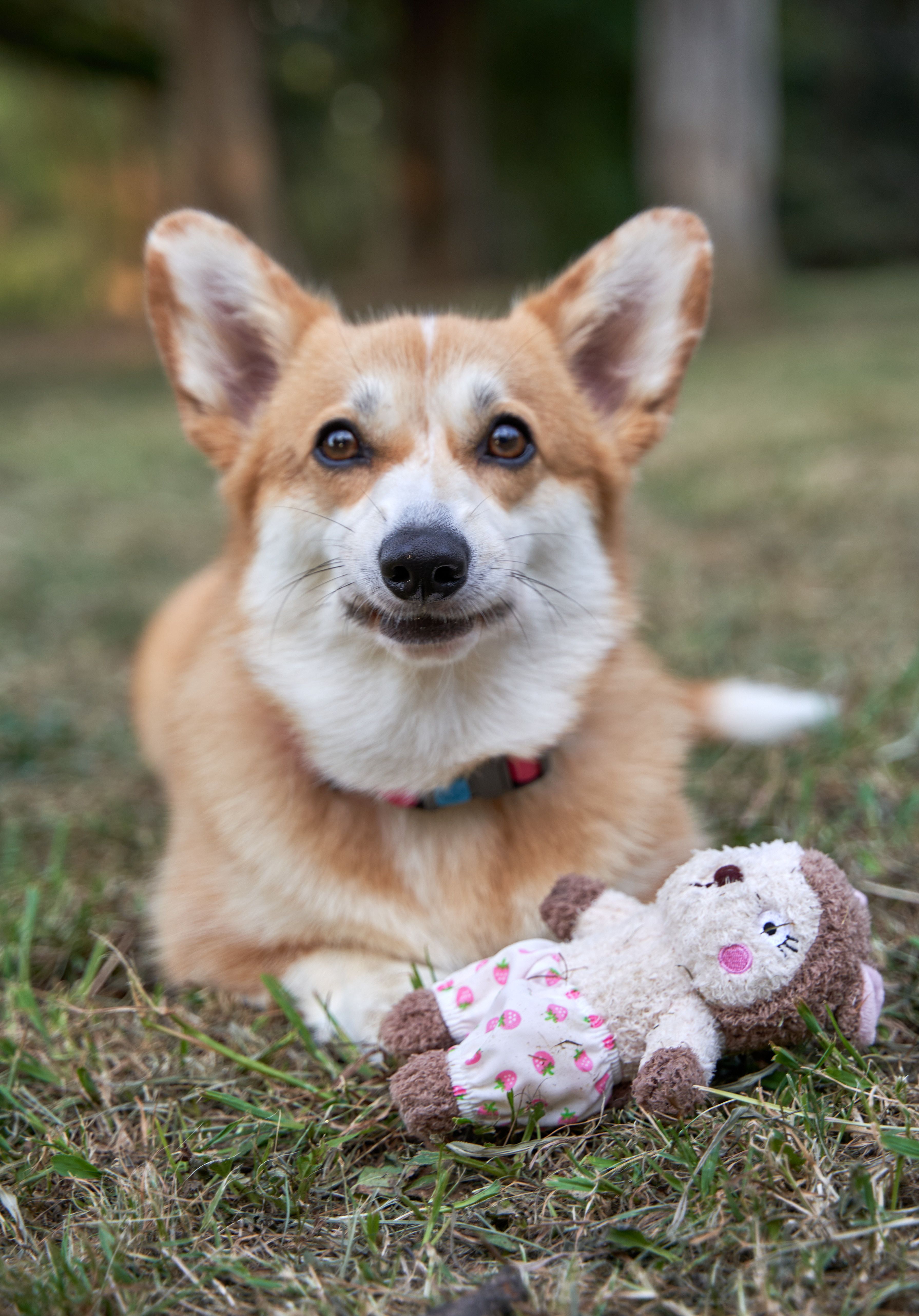 Produkt DTAS857085 Bild 10