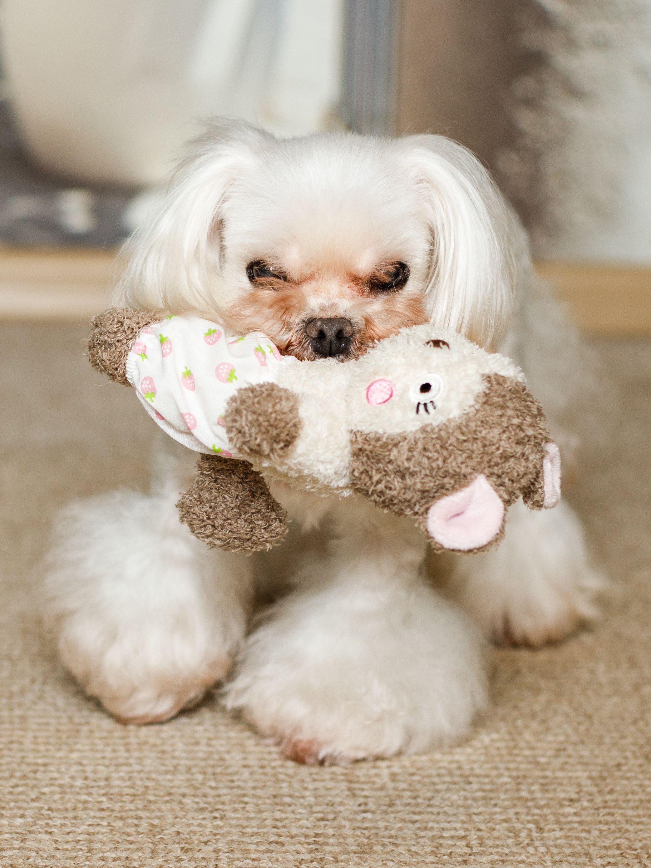 Produkt DTAS857085 Bild 3