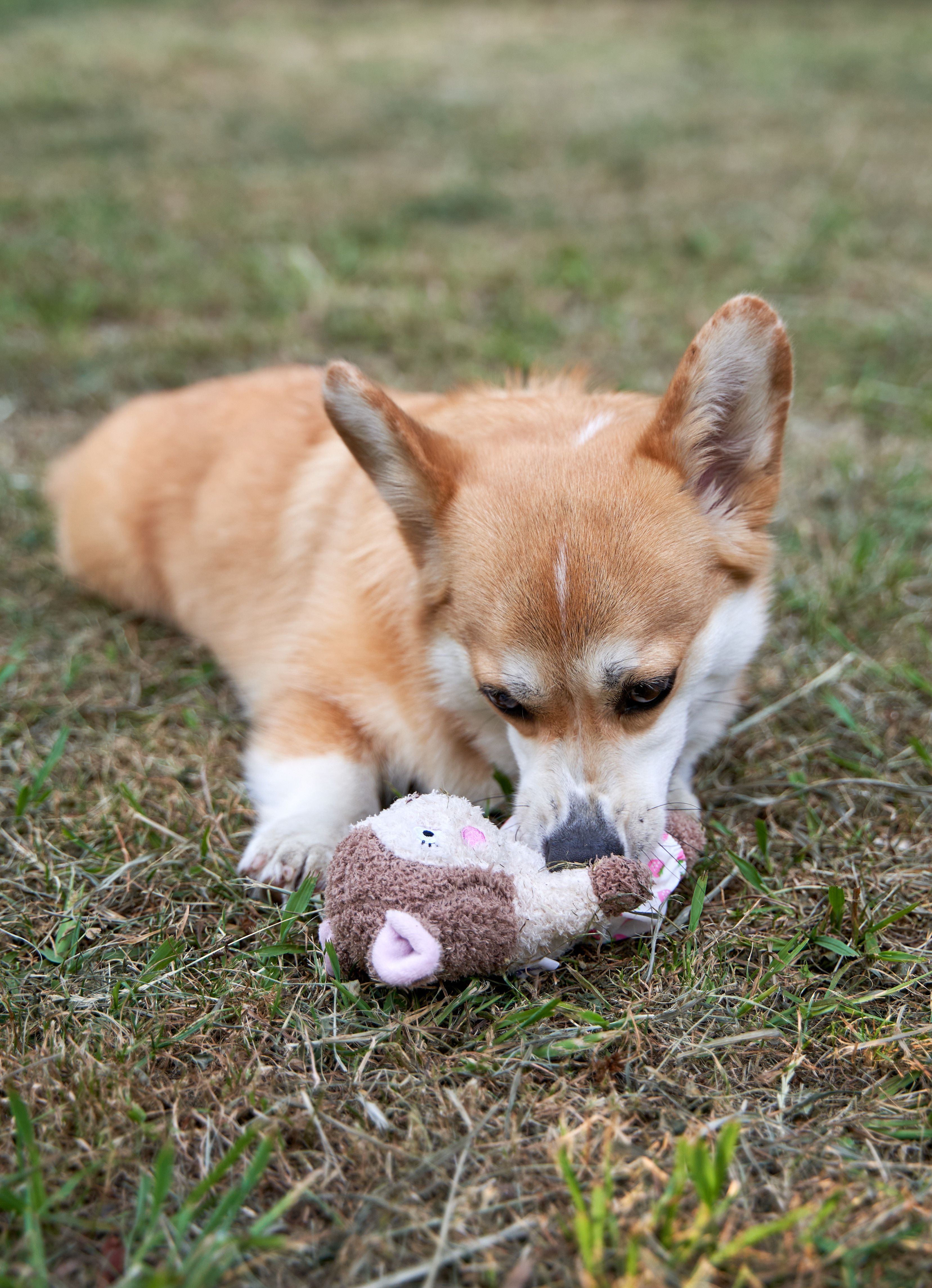 Produkt DTAS857085 Bild 4