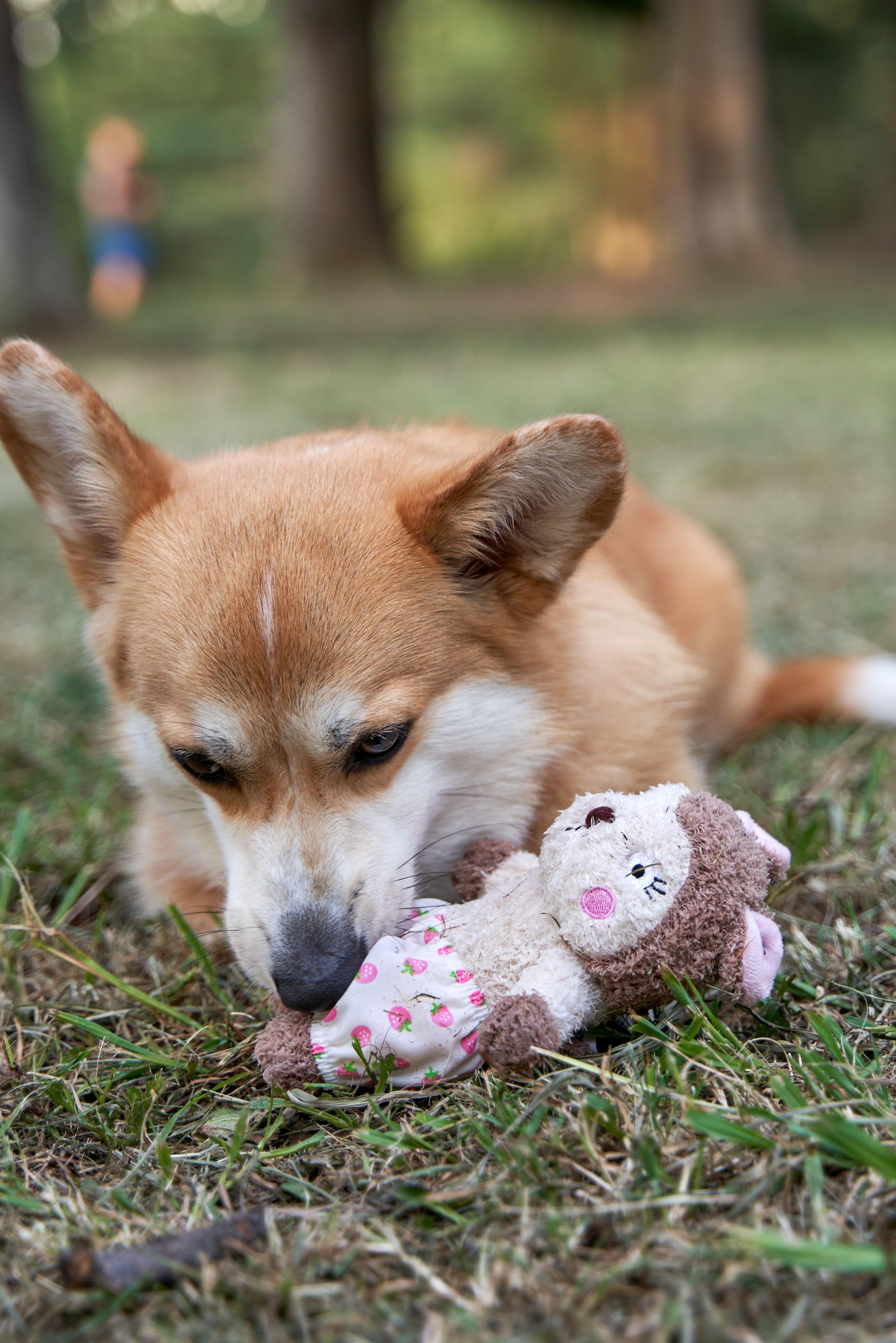 Produkt DTAS857085 Bild 5