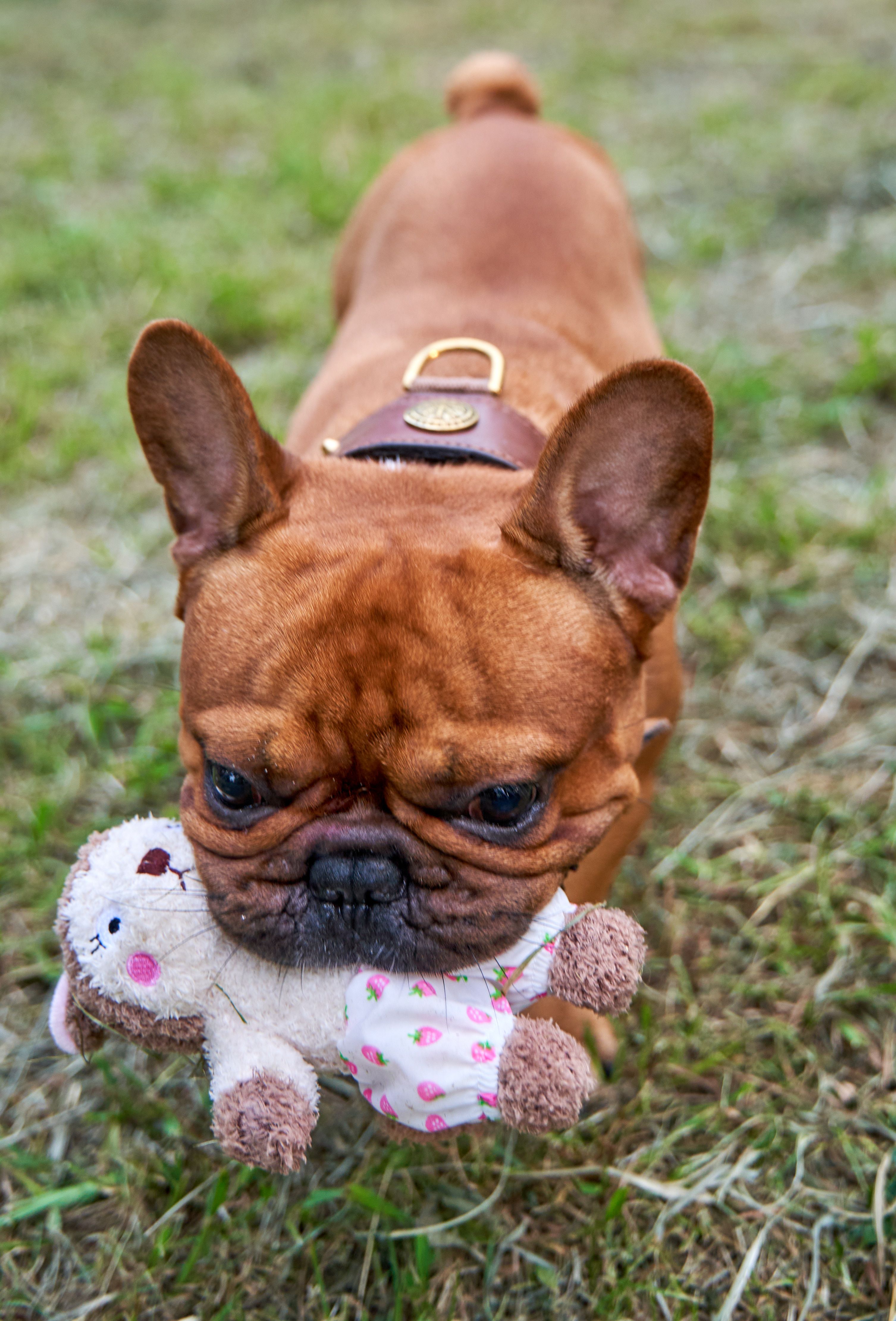 Produkt DTAS857085 Bild 6