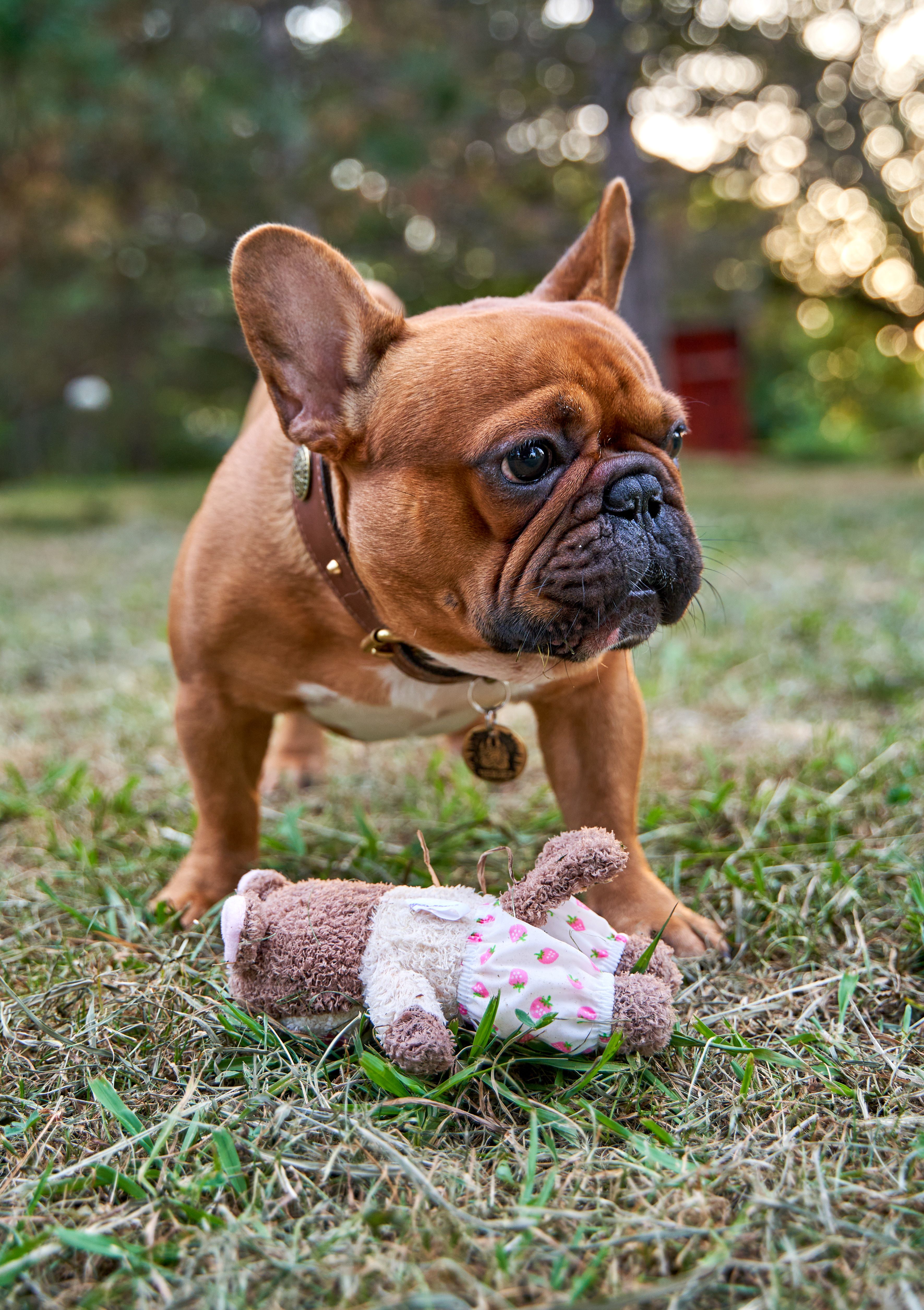 Produkt DTAS857085 Bild 7