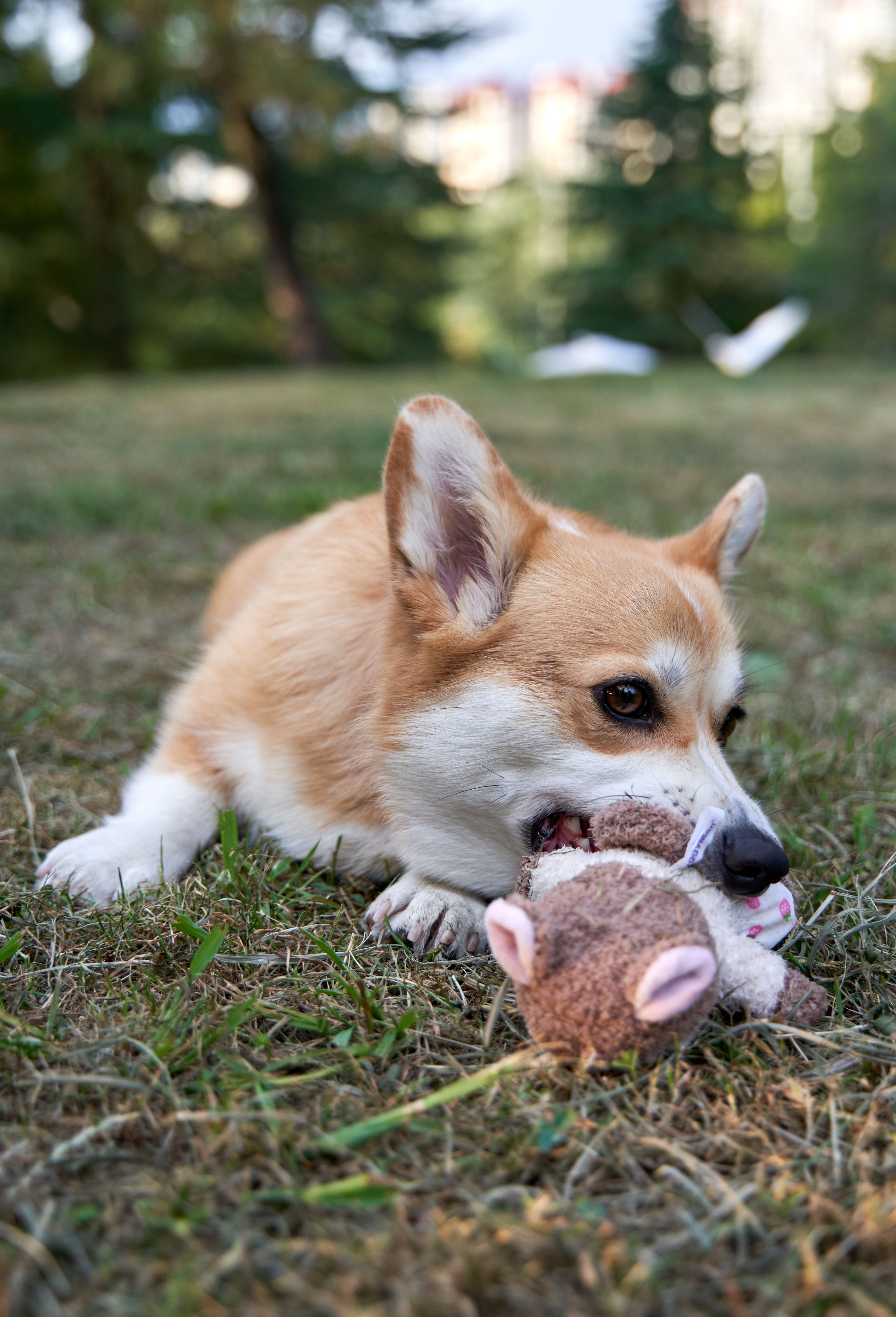 Produkt DTAS857085 Bild 9