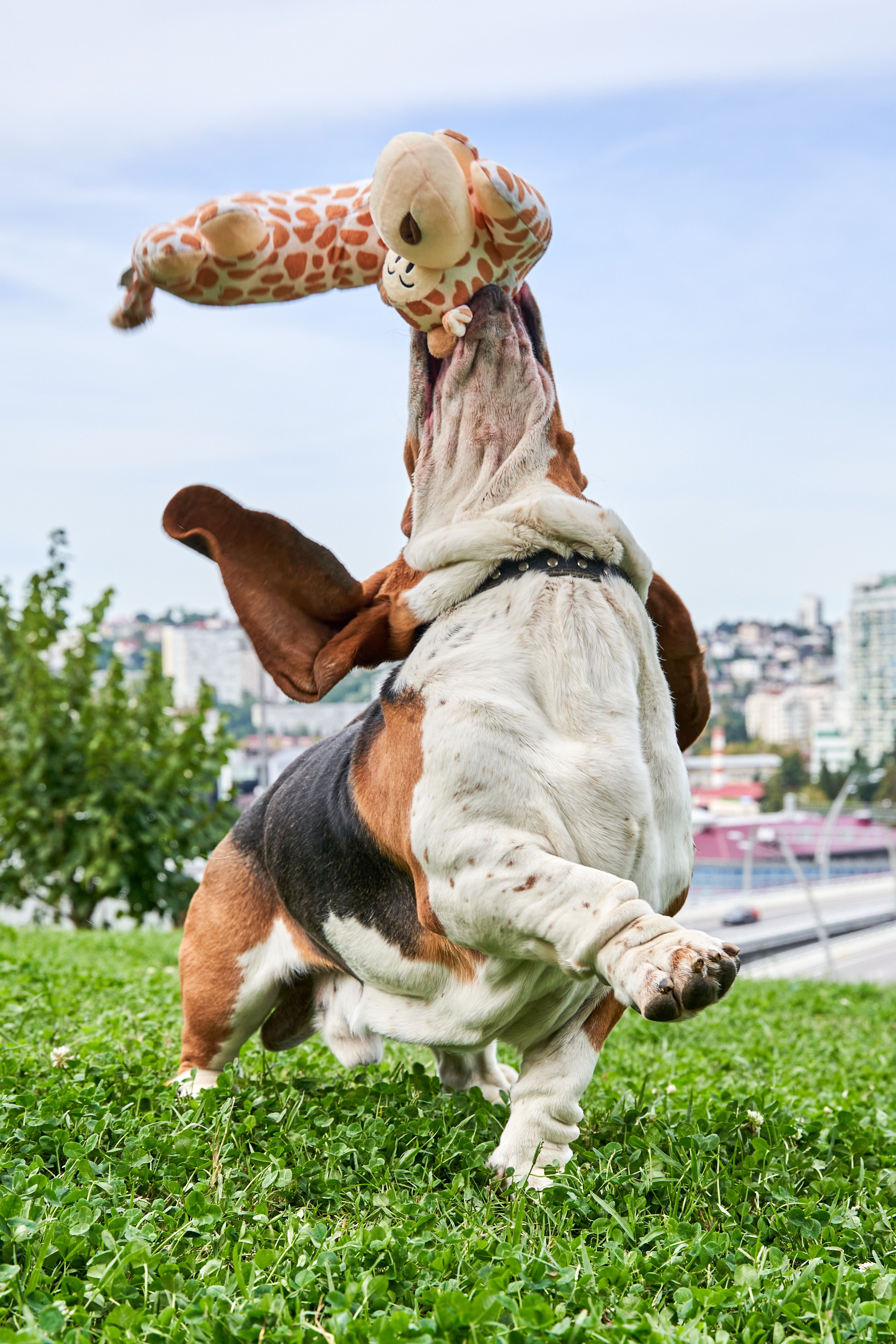 Produkt DTAS878660 Bild 2