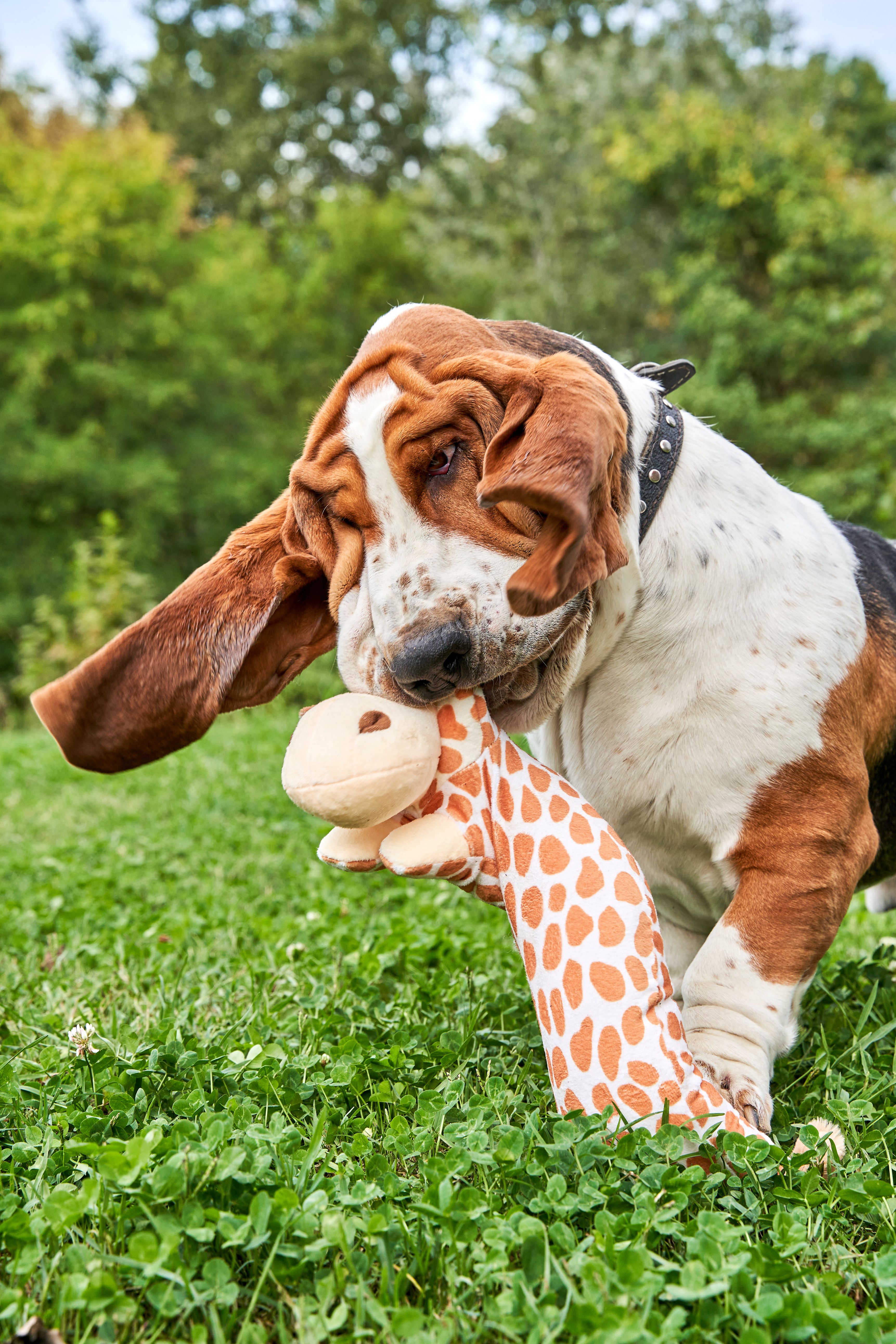 Produkt DTAS878660 Bild 3