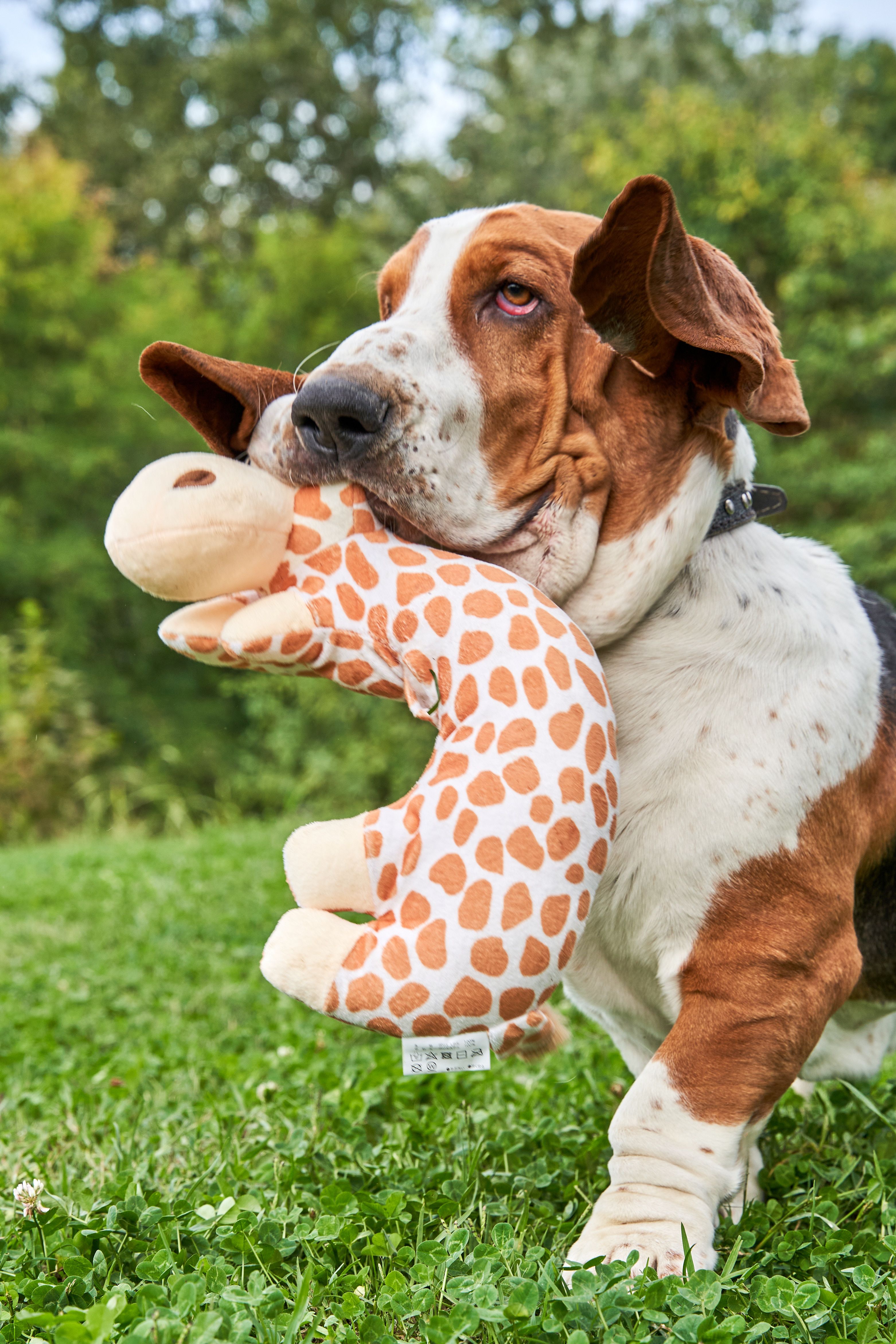 Produkt DTAS878660 Bild 4