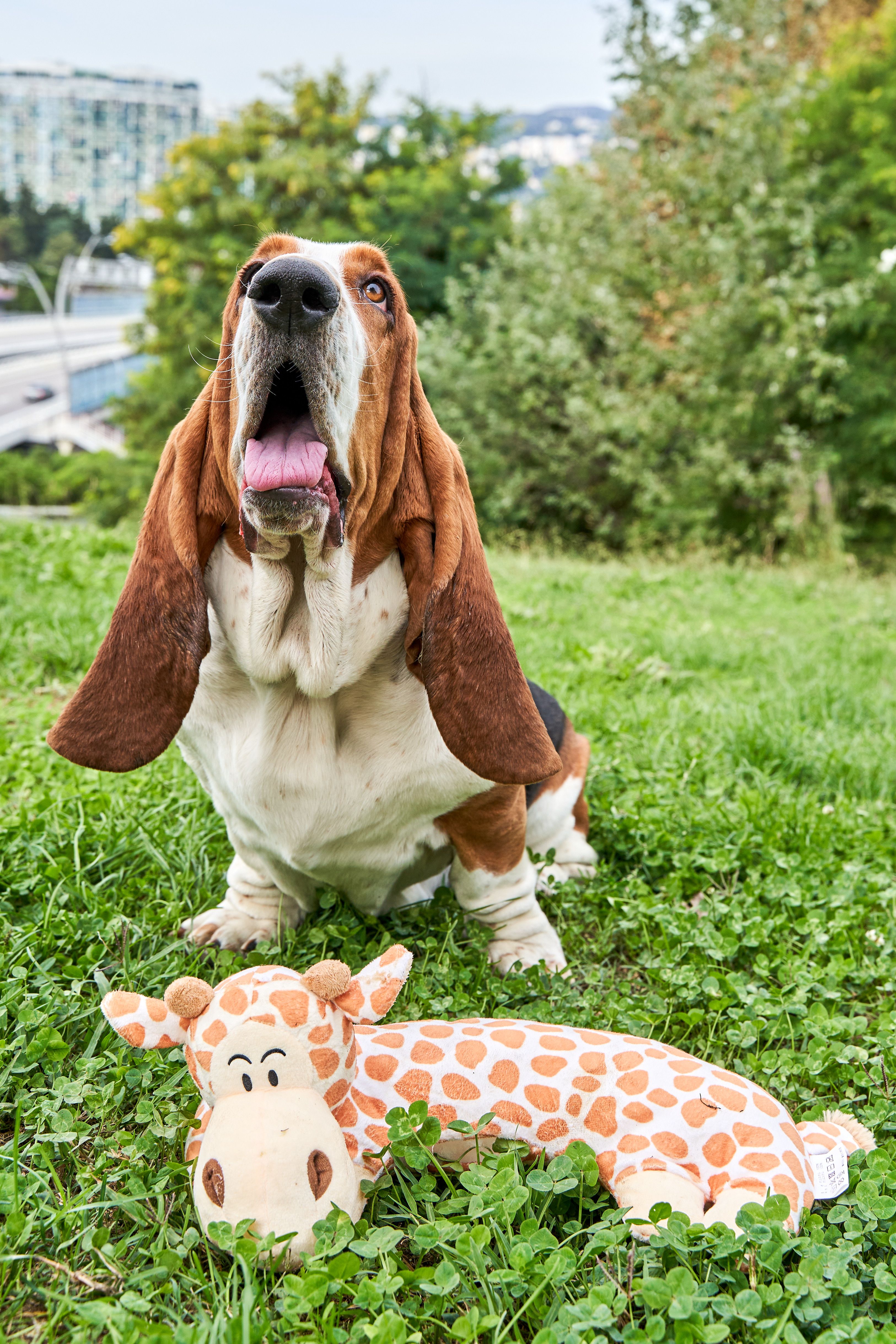 Produkt DTAS878660 Bild 5