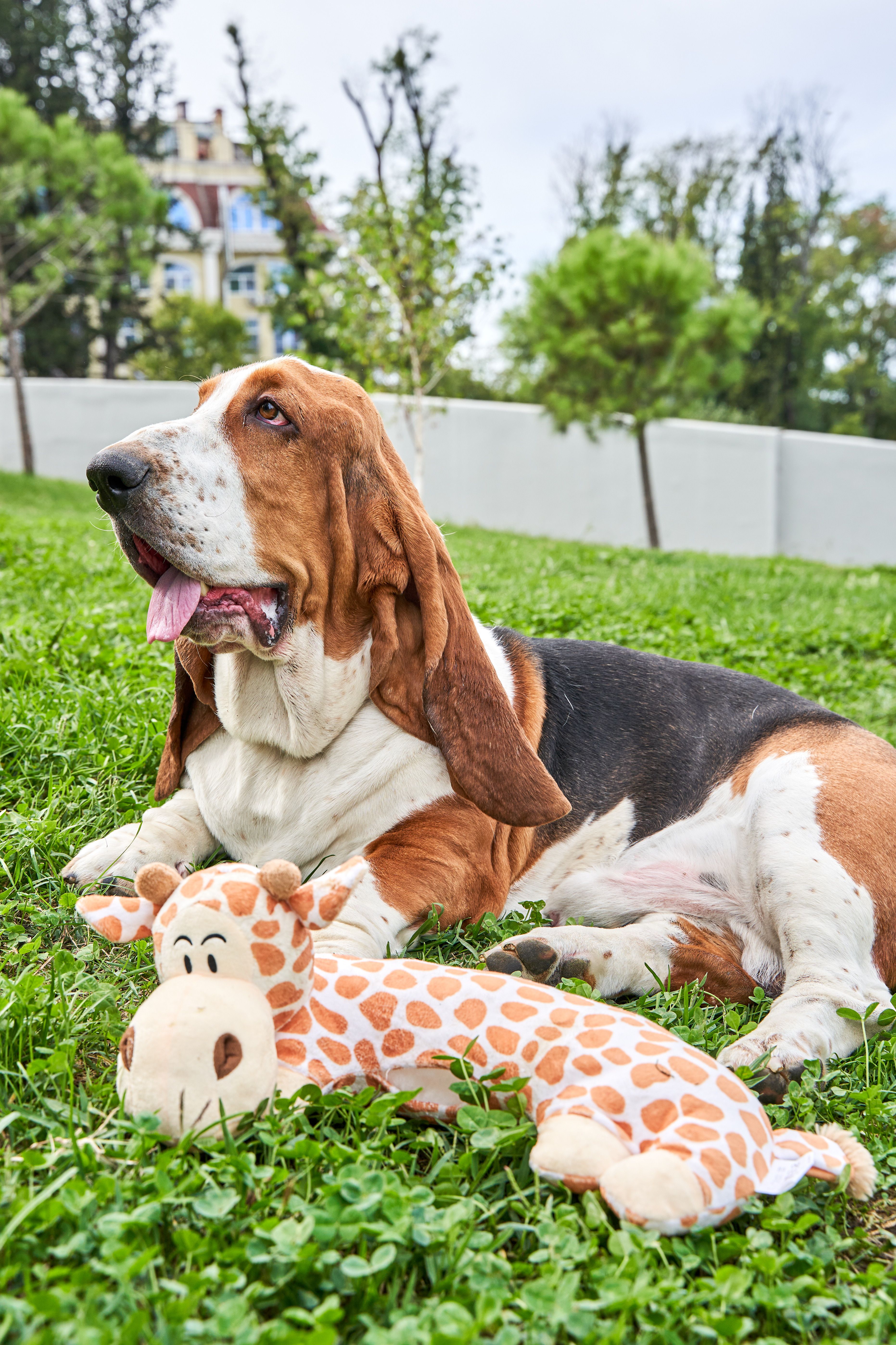 Produkt DTAS878660 Bild 6