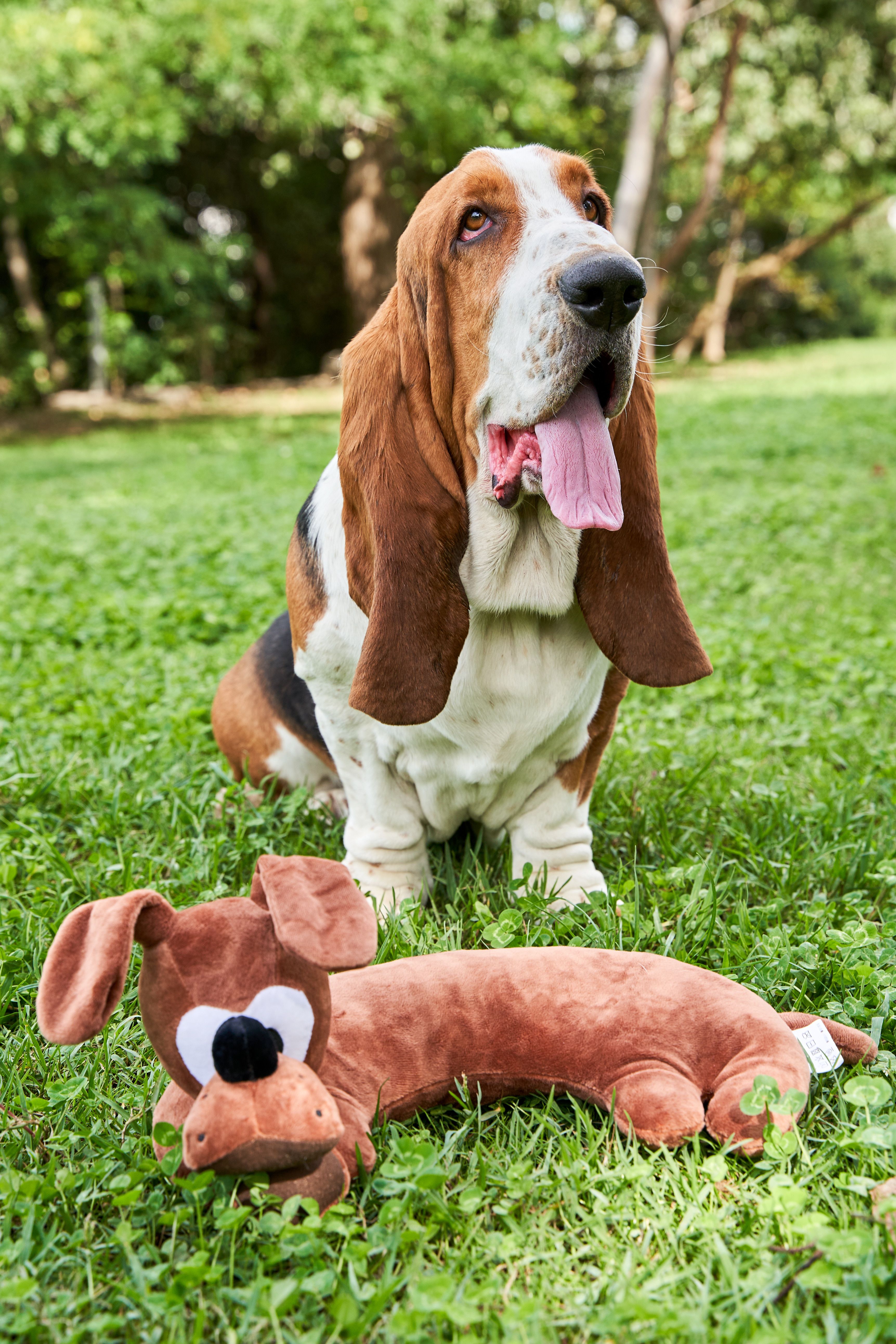 Product DTAS878691 photo 2