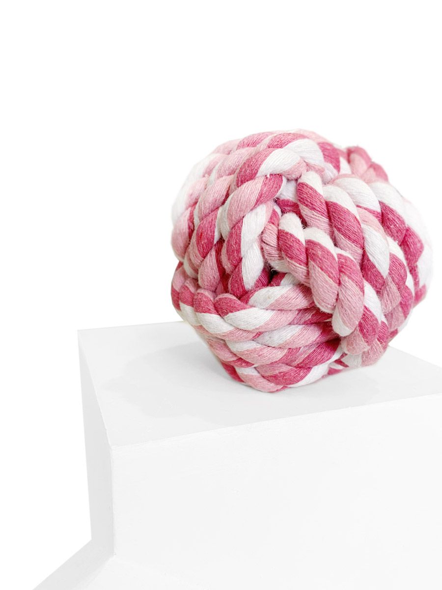 Produkt DTB0638652 Bild 4