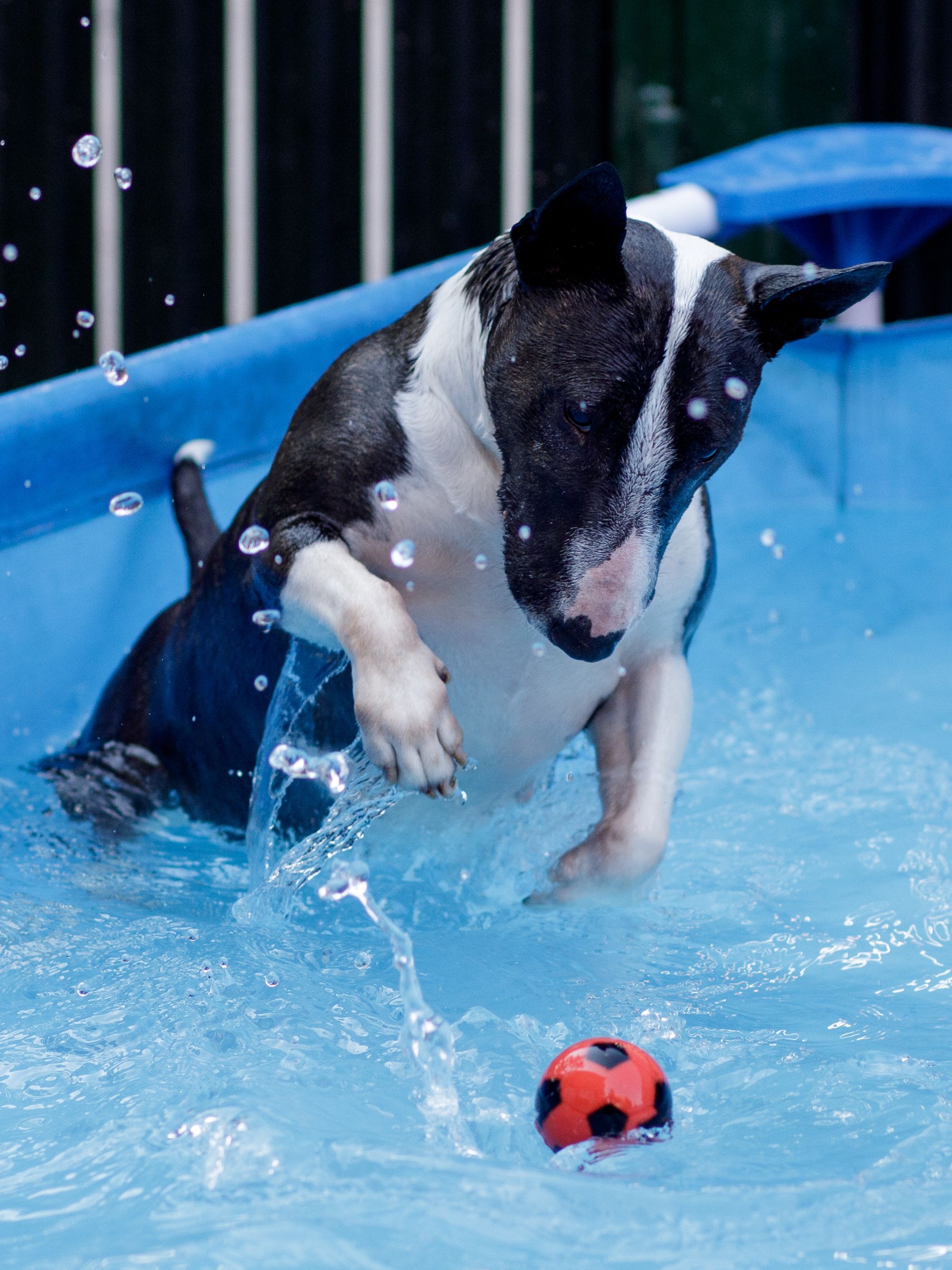 Product DTB0655062 photo 3