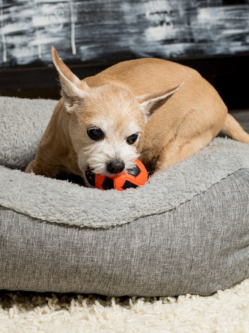 Product DTB0655062 photo 5