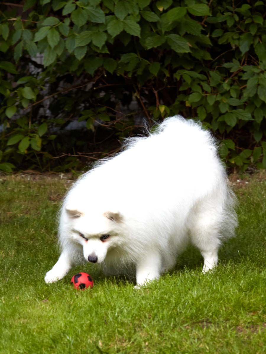 Product DTB0655062 photo 8