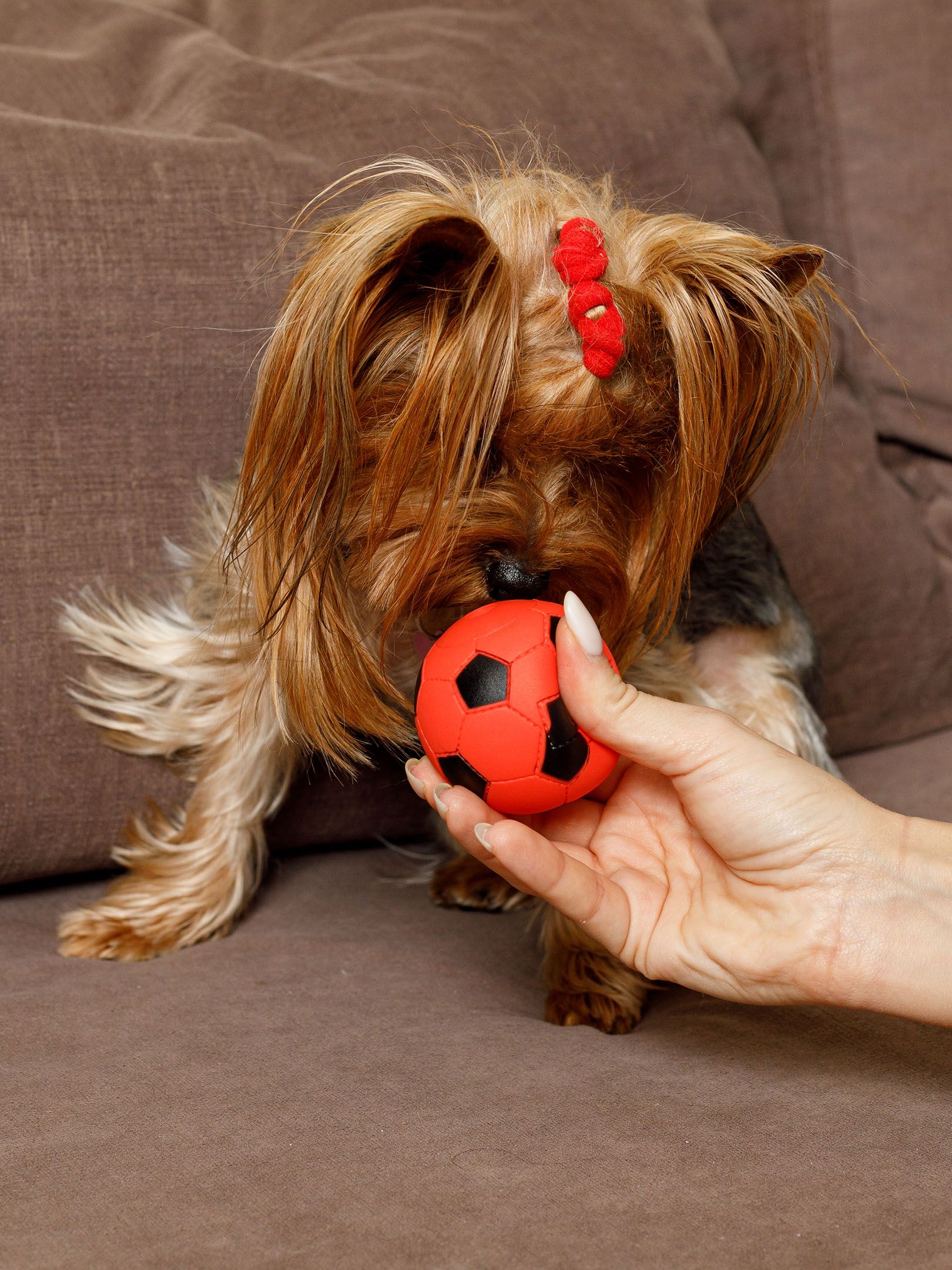 Product DTB0655062 photo 9