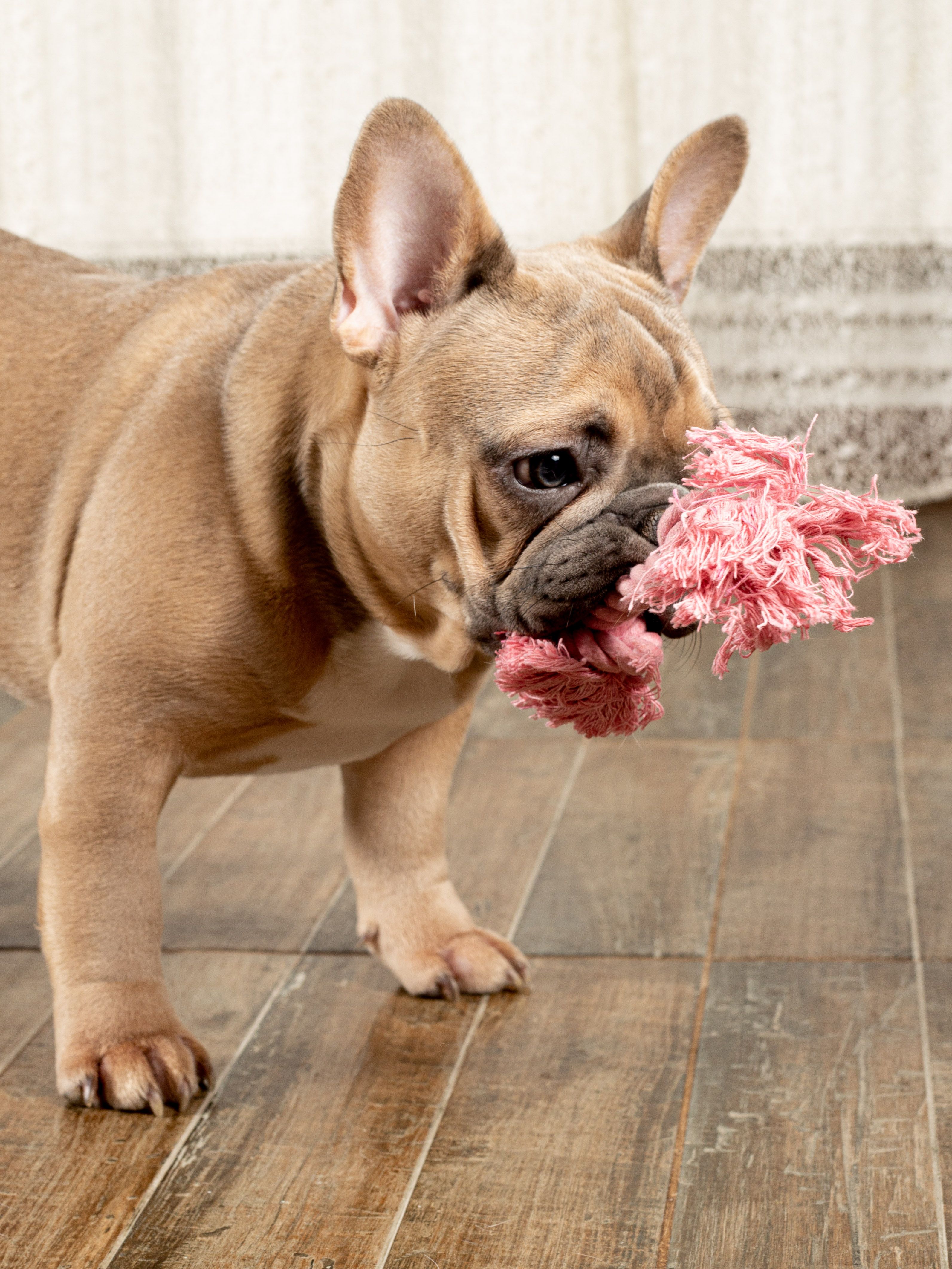 Produkt DTCT631097 Bild 14