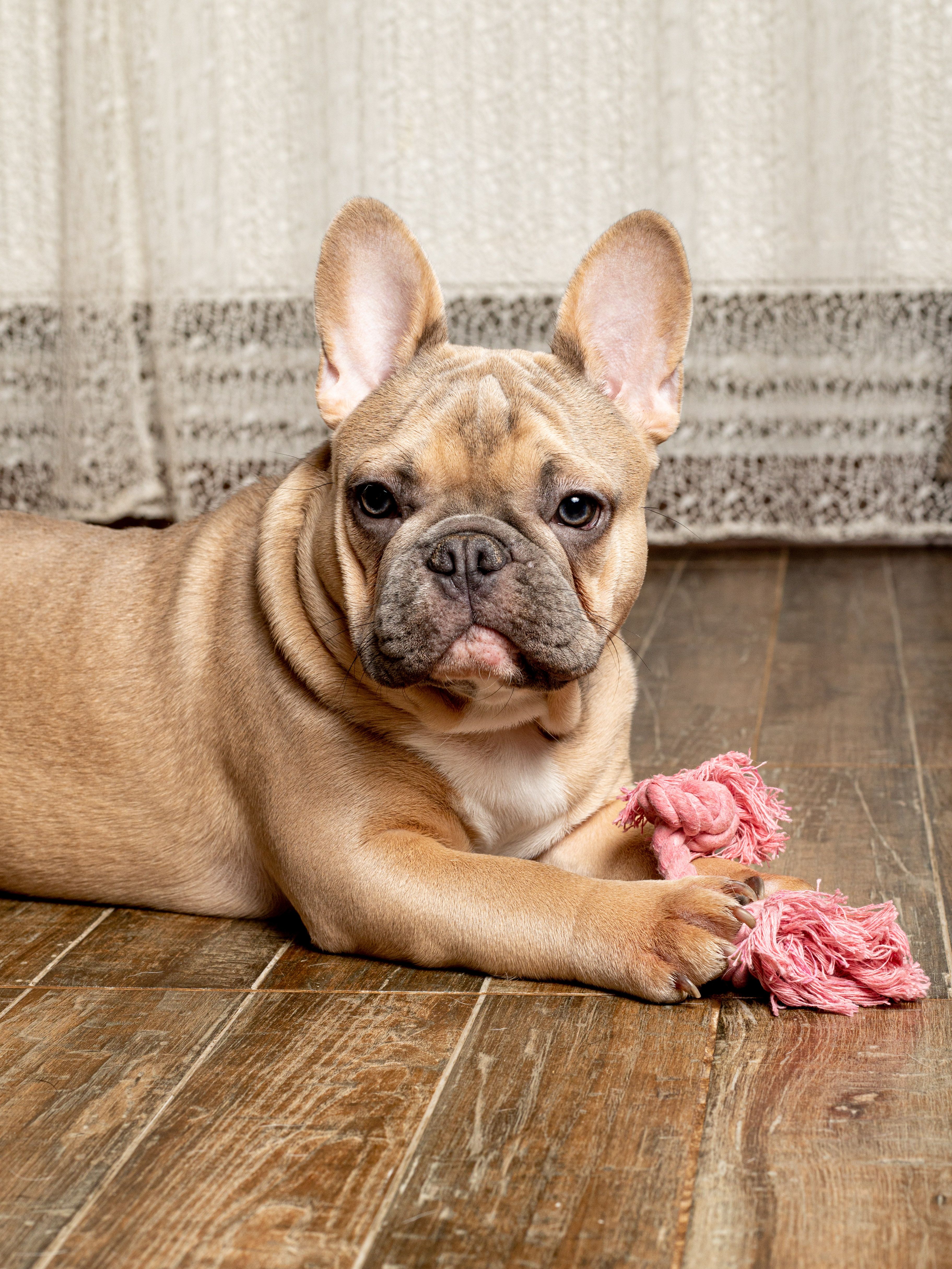 Produkt DTCT631097 Bild 17