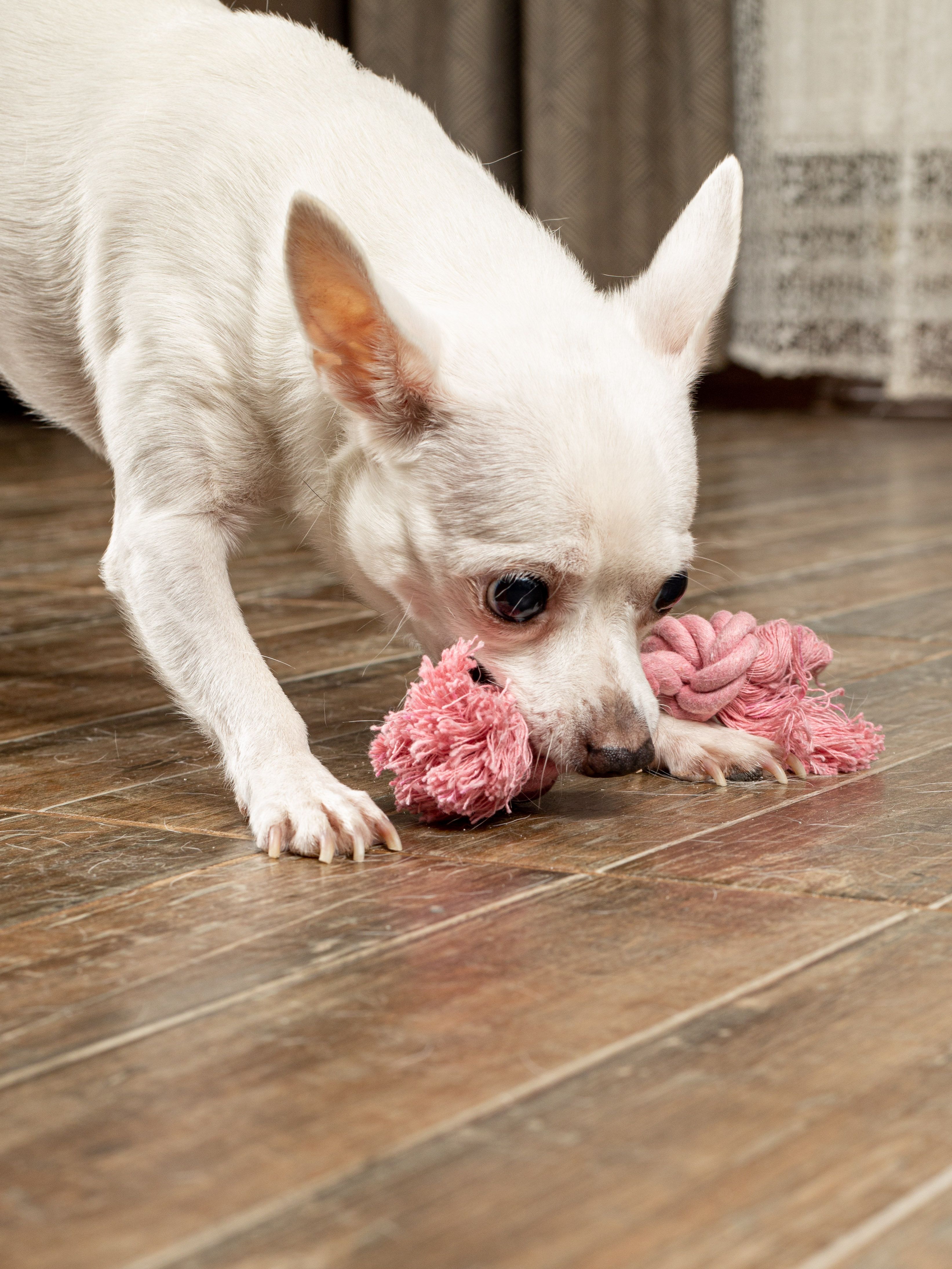 Produkt DTCT631127 Bild 10