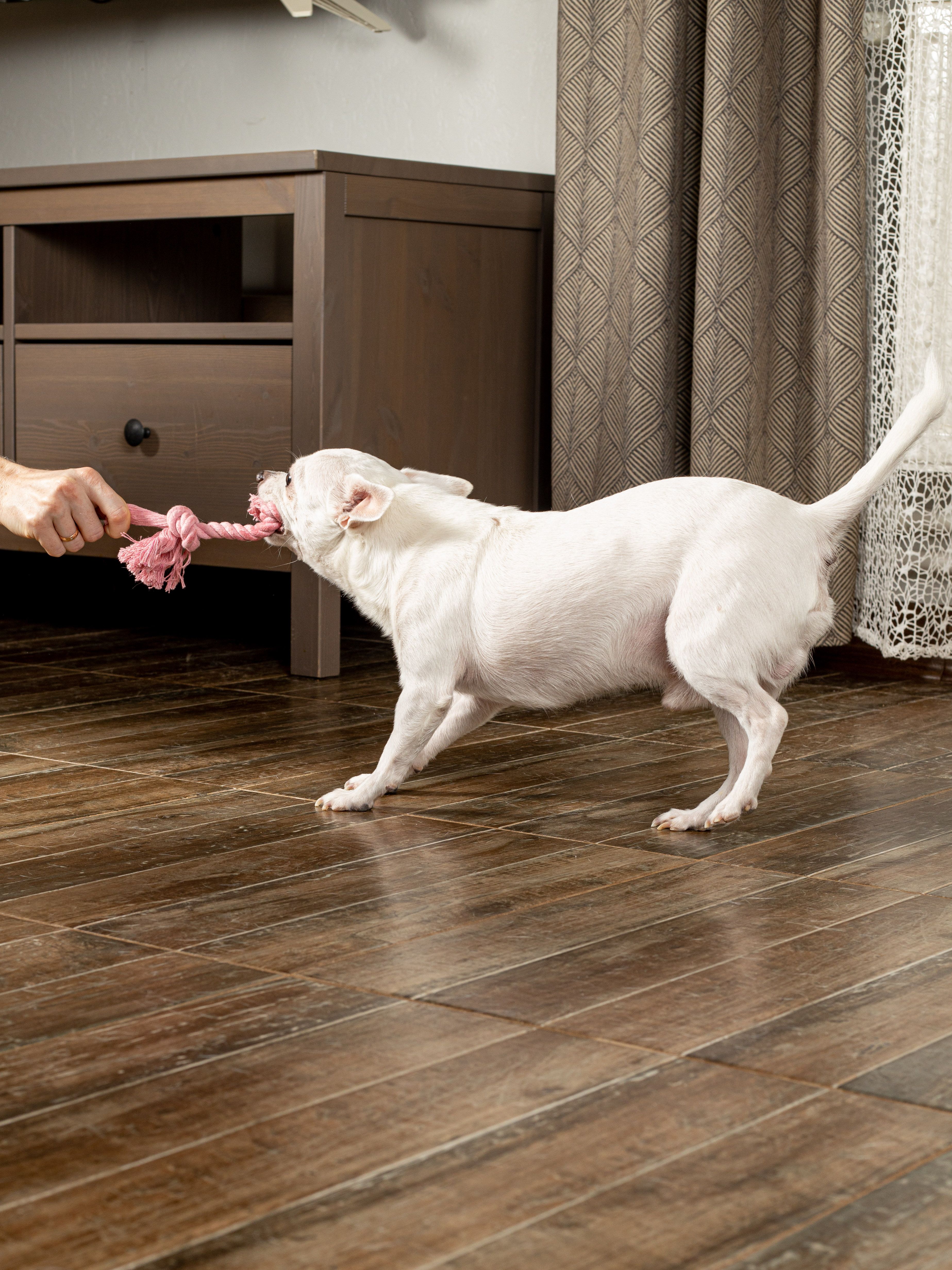 Produkt DTCT631127 Bild 11